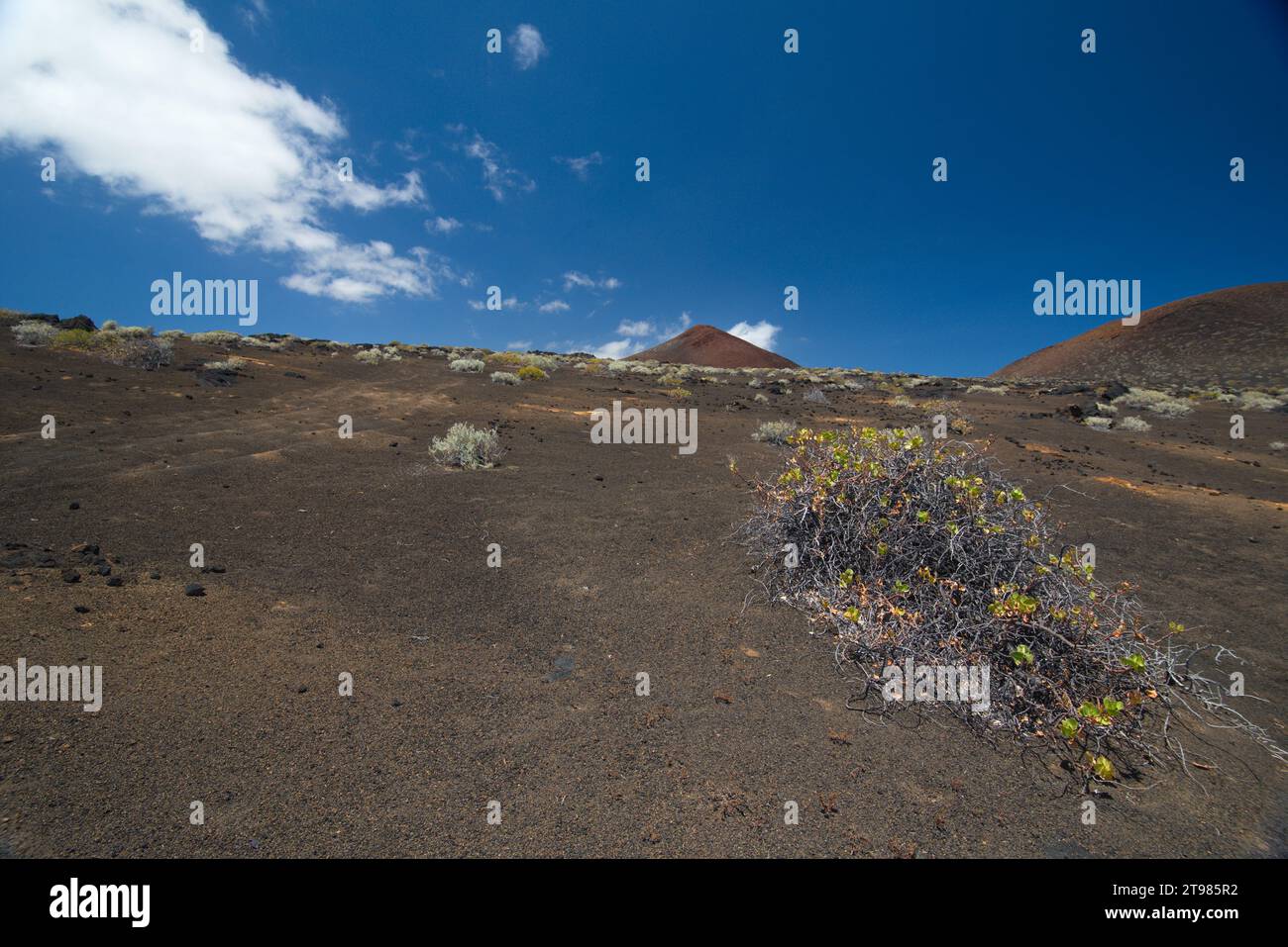 volcanic landscape of the Island of El Hierro, Canary Islands. paisaje volcánico de la Isla de El Hierro, Canarias Stock Photo