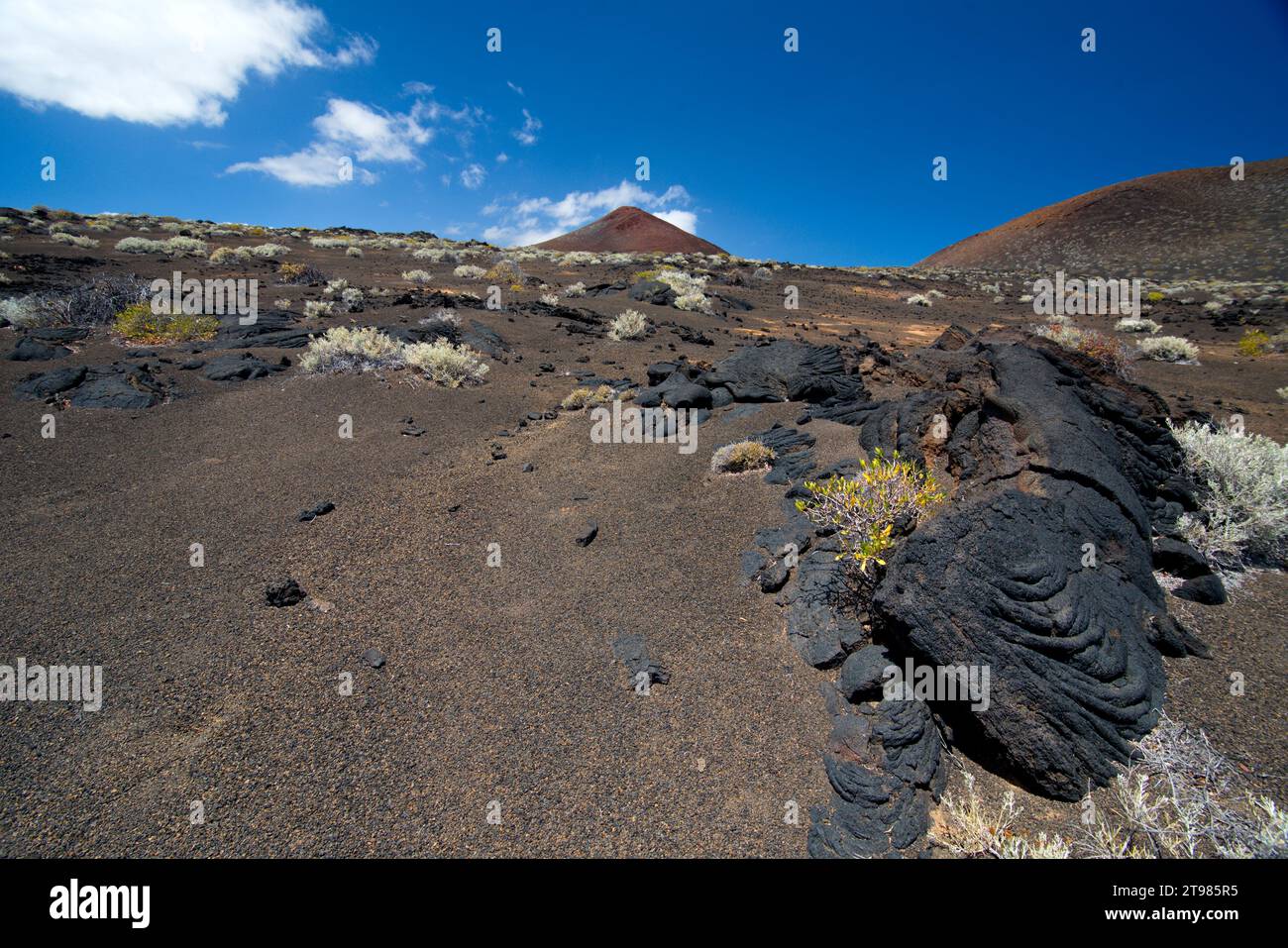 volcanic landscape of the Island of El Hierro, Canary Islands. paisaje volcánico de la Isla de El Hierro, Canarias Stock Photo