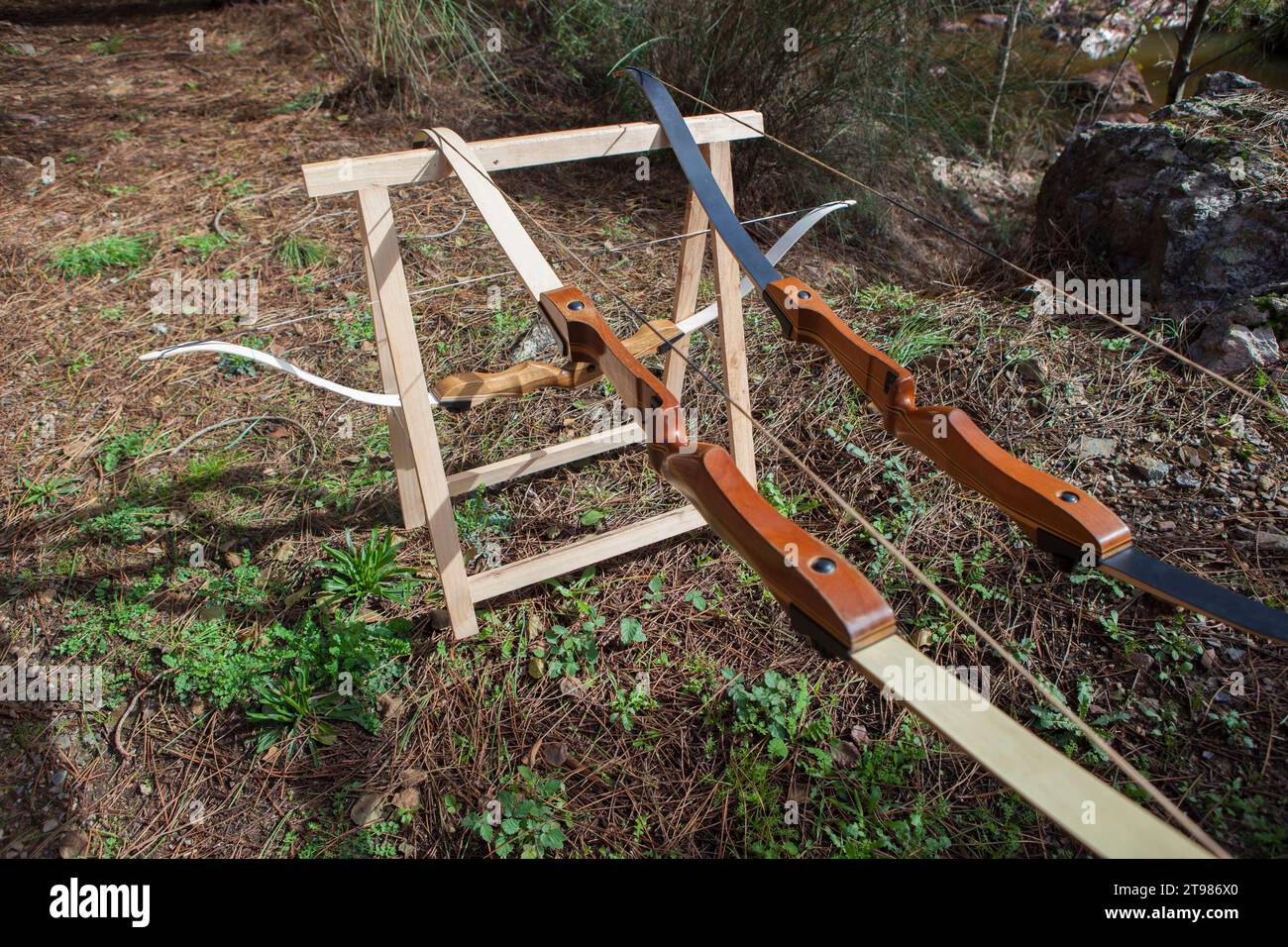 Wooden bows displayed over folding sawhorses. Forest background Stock Photo