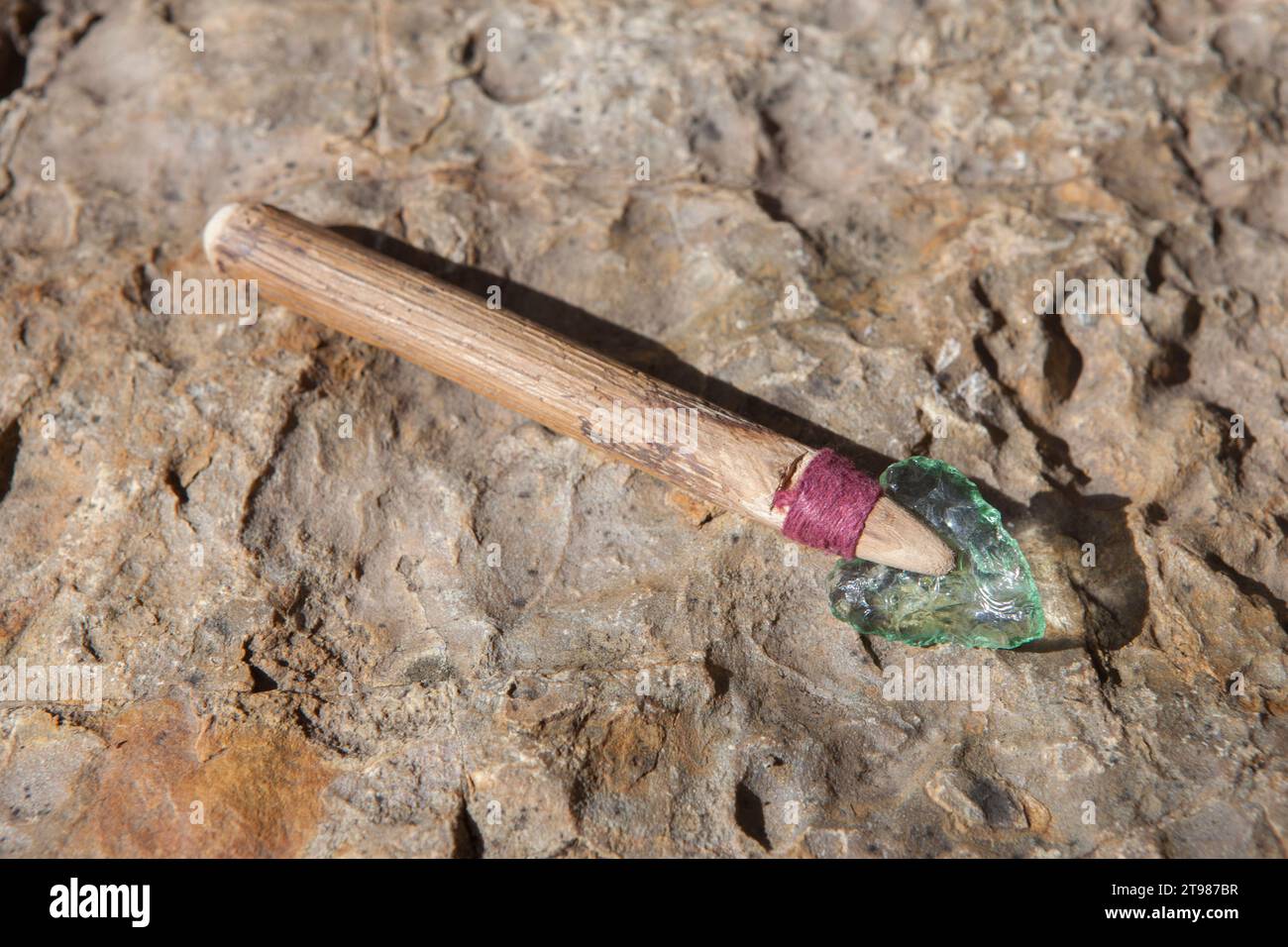 Prehistorical arrowhead built in short shaft. Replica made of glass for educational purposes Stock Photo