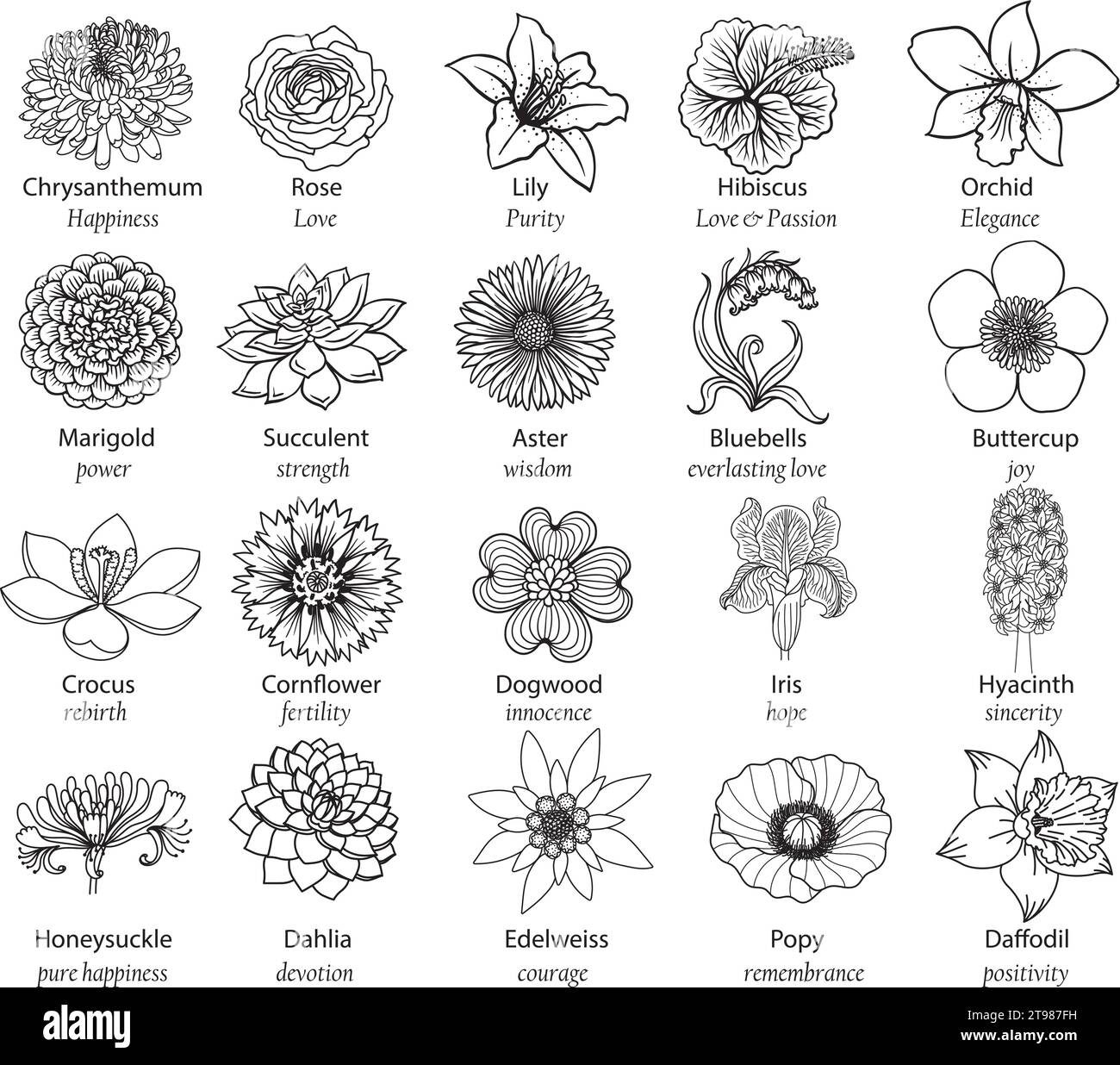 20 flowers with good meanings. Vector illustration. Stock Vector