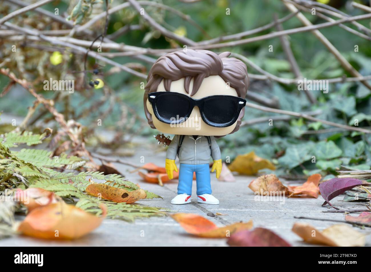 Funko Pop action figure of Steve with sunglasses from popular Netflix TV series Stranger Things. Abandoned road, autumn forest, leaves, tree branches. Stock Photo