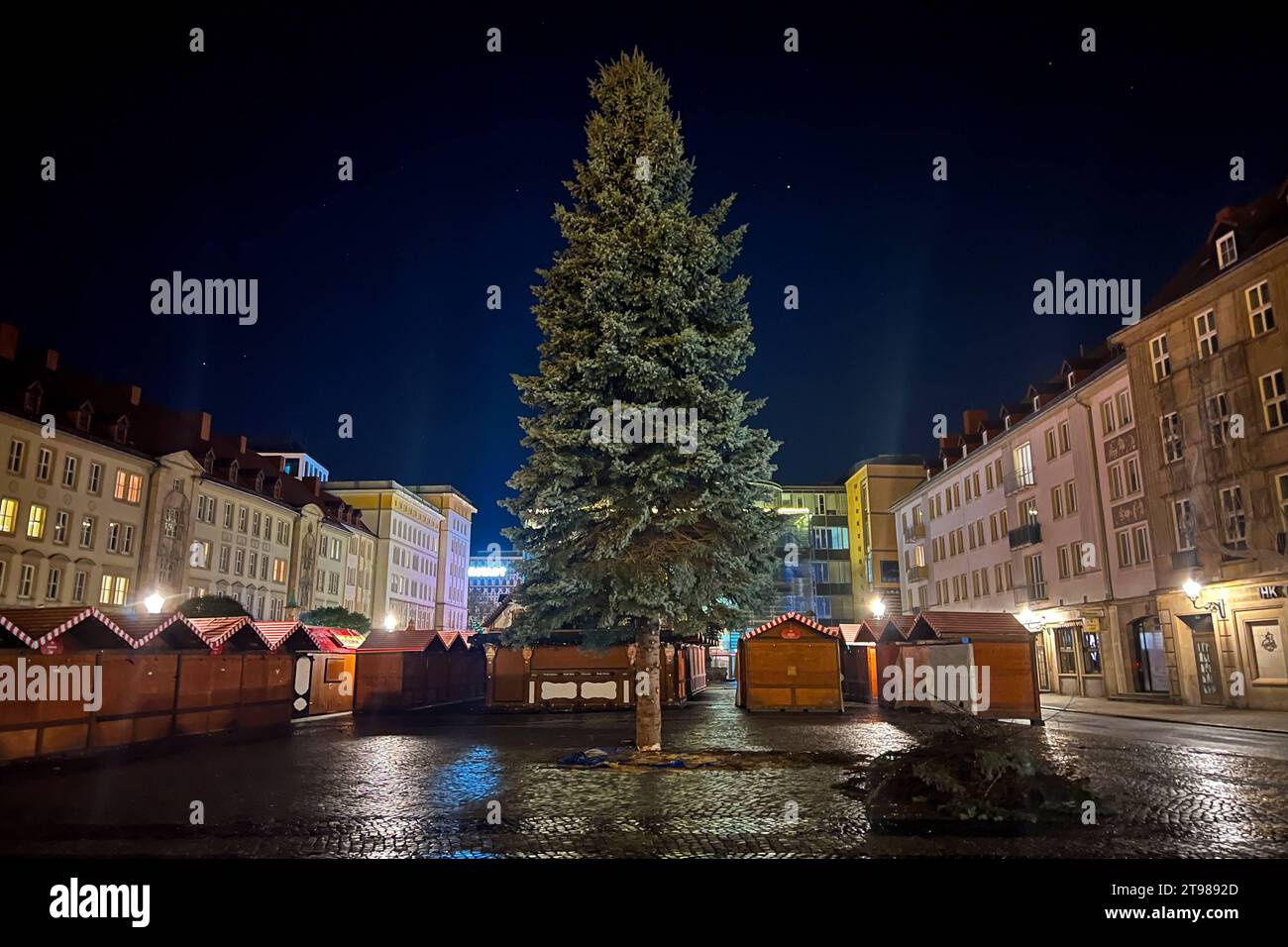 Weihnachtsbaum für den diesjährigen Weihnachtsmarkt steht jetzt auf dem