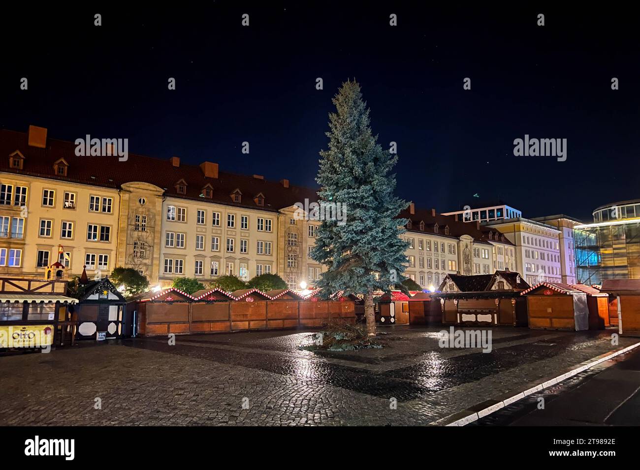 Weihnachtsbaum für den diesjährigen Weihnachtsmarkt steht jetzt auf dem Alten Markt vor dem Rathaus. Weihnachtsbaum für Magdeburger Weihnachtsmarkt gefällt. Für jedes ihrer drei Kinder wurde bei Familie Parnitzke aus Magdeburg ein Baum gepflanzt. Doch nachdem sich das Wurzelwerk einer Fichte stark ausgeweitet hat, wechselt der Baum seinen Standort und schmückt in diesem Jahr den Magdeburger Weihnachtsmarkt. Am Montag wurde der 16 Meter hohe Baum im Stadtteil Hopfengarten gefällt. *** Christmas tree for this years Christmas market now stands on the Alter Markt in front of the town hall Christma Stock Photo