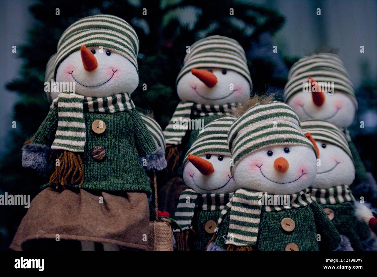 A group of snowmen with red carrot noses dressed in green sweaters, scarves and striped hats under the Christmas tree. Christmas decorations. Stock Photo