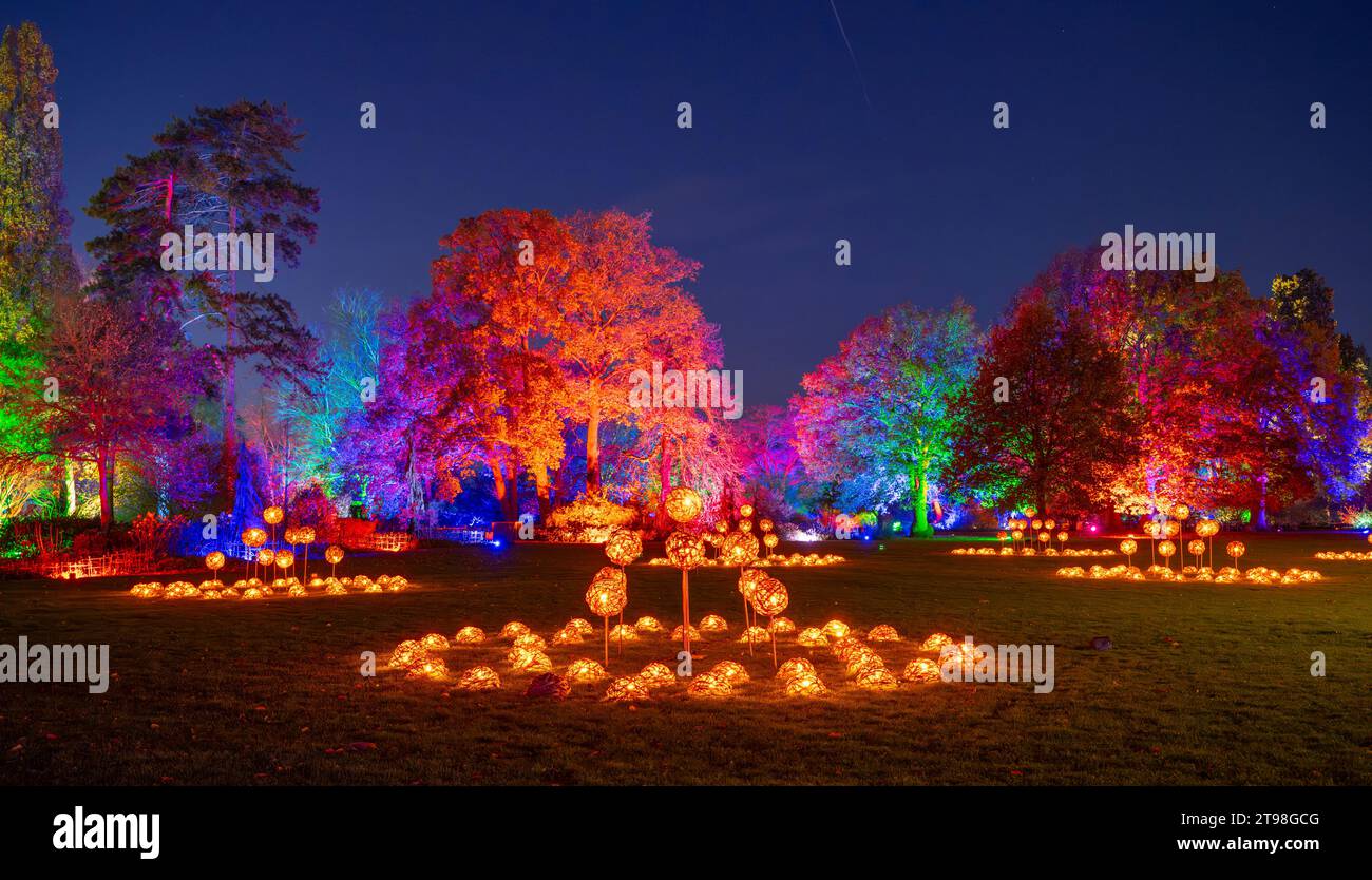 RHS Gardens Wisley, Surrey, UK. 23rd Nov, 2023. Magical preview evening at RHS Gardens Wisley. At Glow 2023, see the garden in breathtaking beauty as amazing illuminations light the visitors route on a wonder-filled journey. The colourful Festive event runs from 24 Nov 2023 - 2 Jan 2024. Credit: Malcolm Park/Alamy Live News Stock Photo