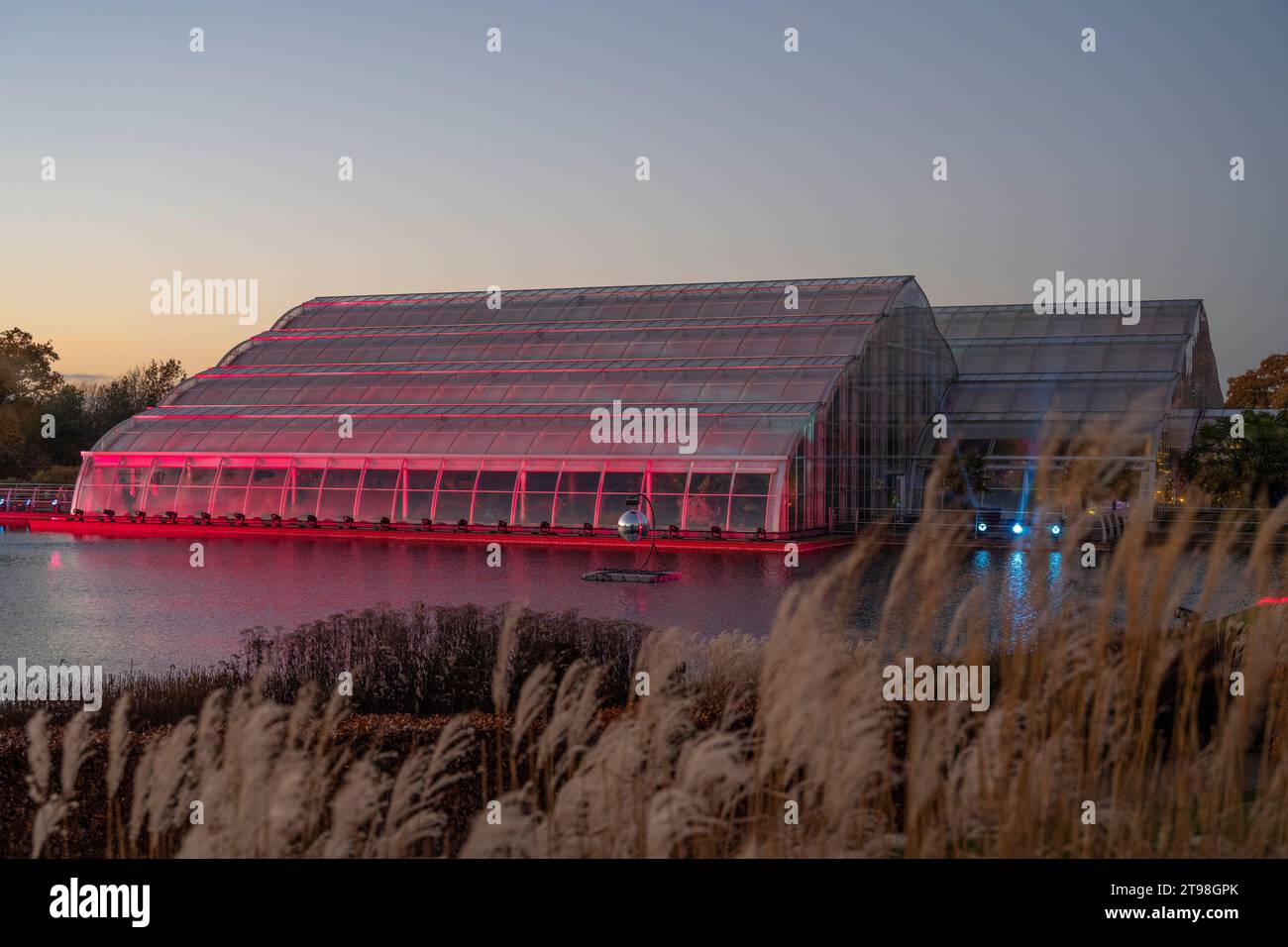 RHS Gardens Wisley, Surrey, UK. 23rd Nov, 2023. Magical preview evening