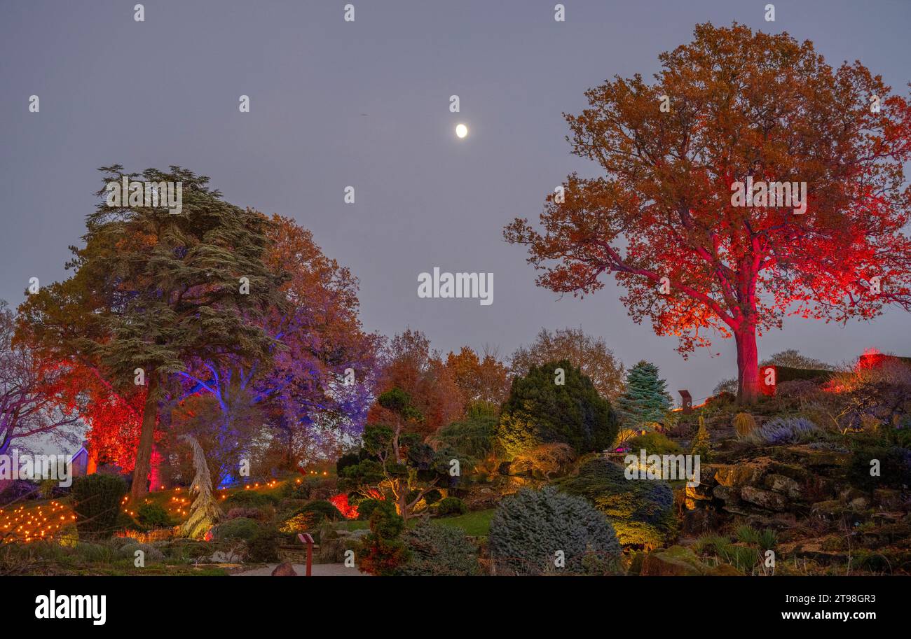RHS Gardens Wisley, Surrey, UK. 23rd Nov, 2023. Magical preview evening