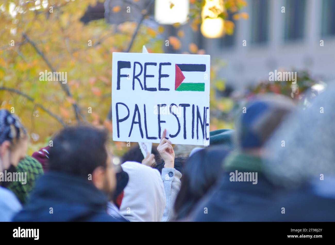 New York City, United States. 23rd November, 2023. A demonstrator is seen holding 'Free Palestine' sign at Madison Square Park in Midtown Manhattan in support of Gaza and all indigenous people. Credit: Ryan Rahman/Alamy Live News Stock Photo