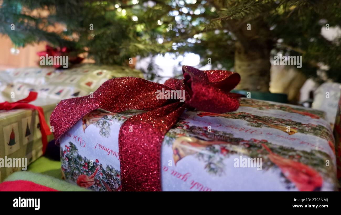 Gifts Under the Tree Stock Photo