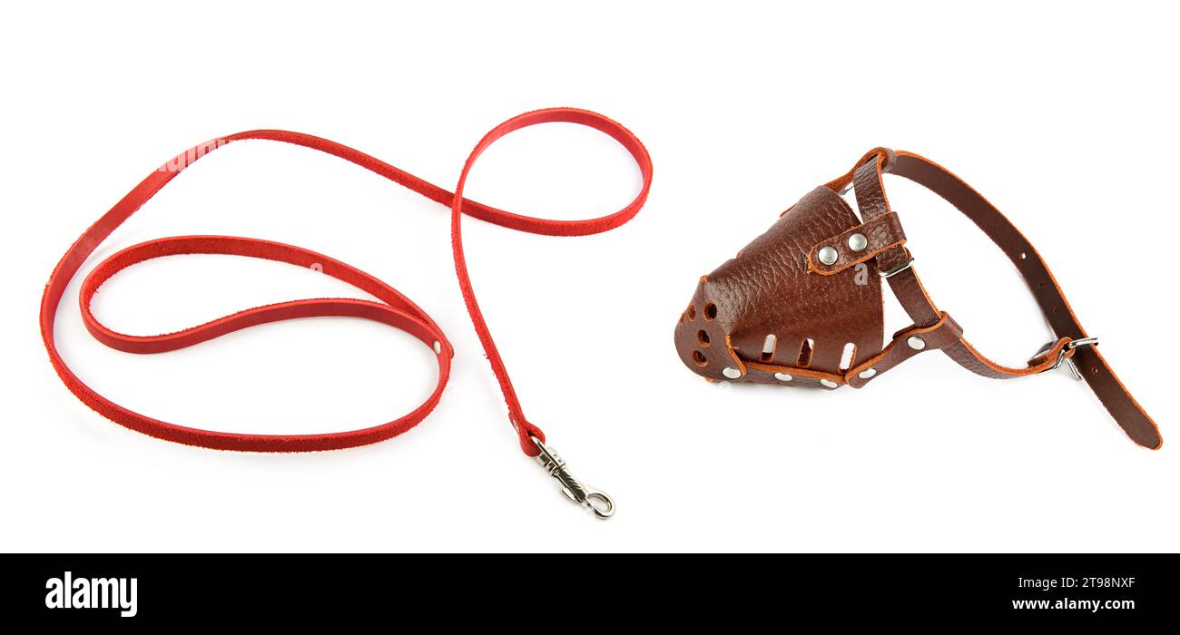Dog leash and muzzle isolated on white background. Collage. Wide photo