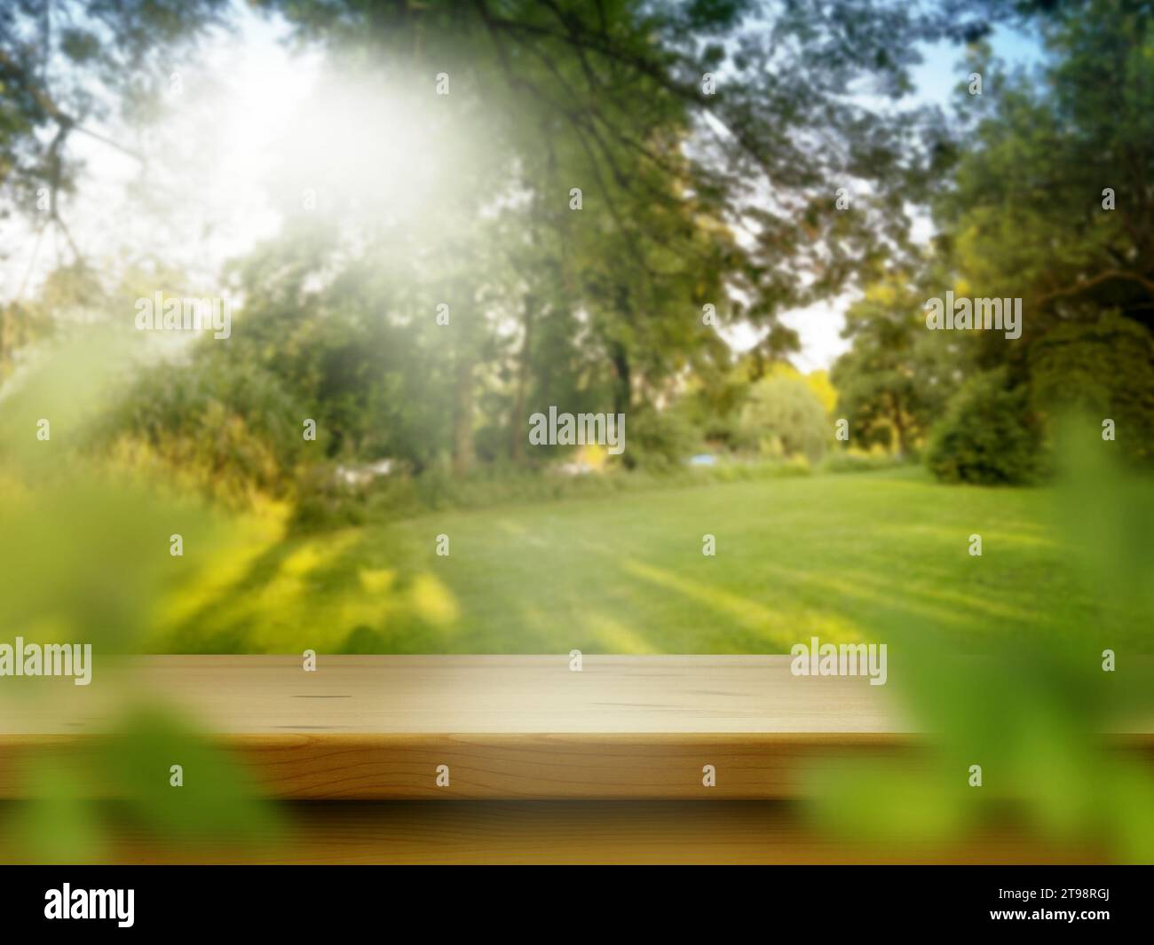 Empty botanic park summer sunny hi-res stock photography and images - Alamy