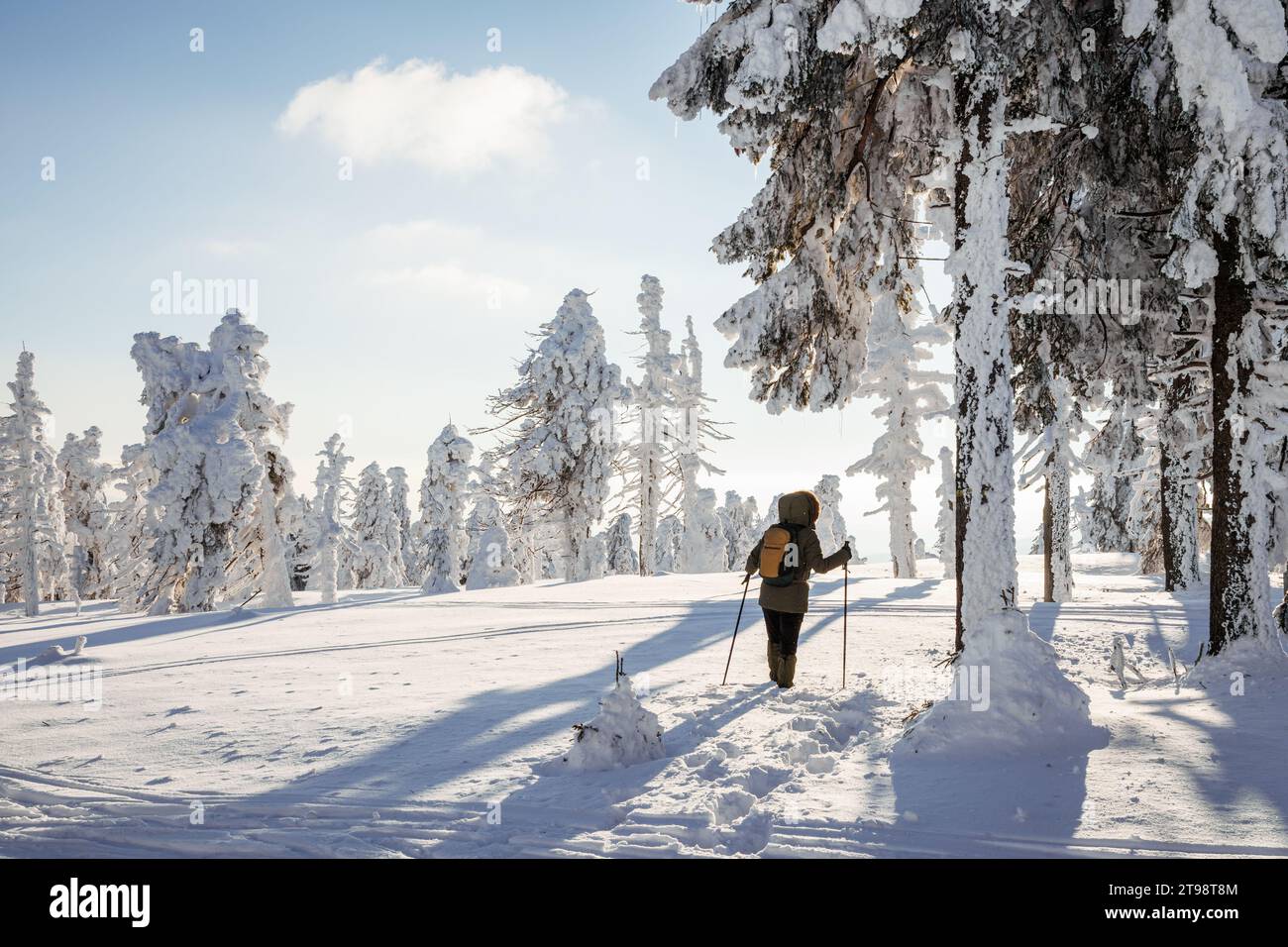 Hiking in snowy mountain forest. Woman with backpack and winter coat walking in deep snow. Adventure in nature Stock Photo