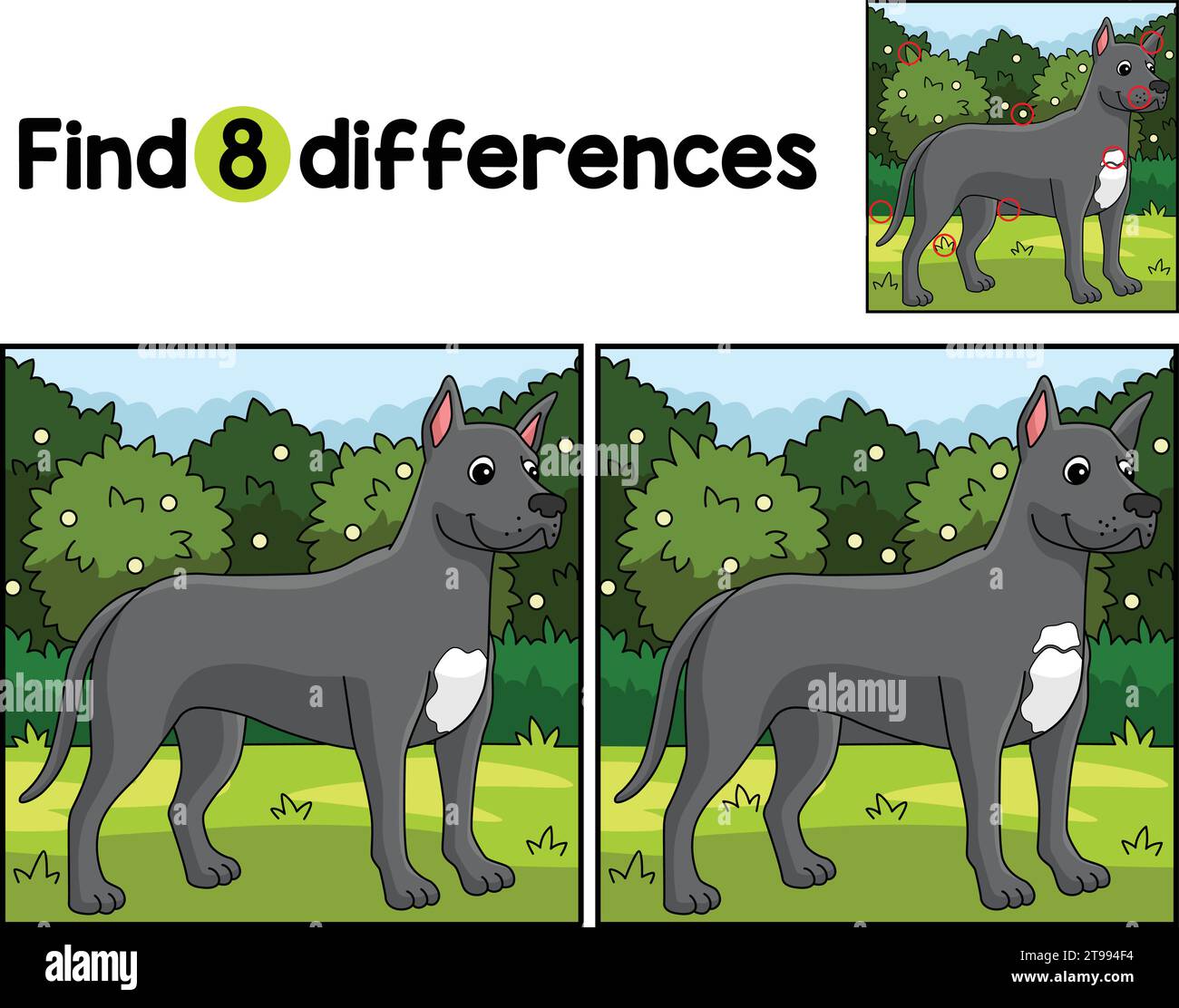 Great Dane Dog Find The Differences Stock Vector