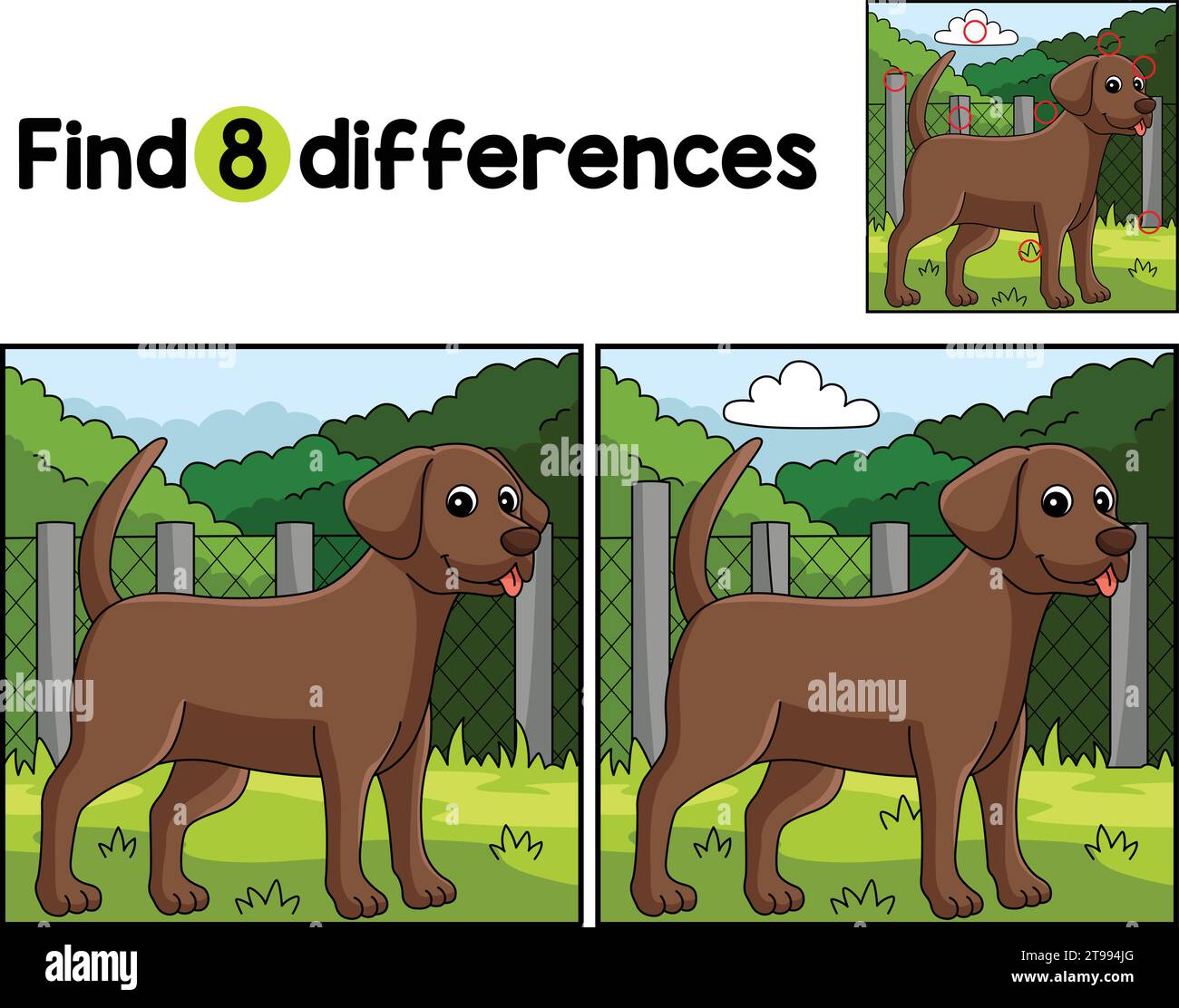Chocolate Lab Dog Find The Differences Stock Vector Image & Art - Alamy