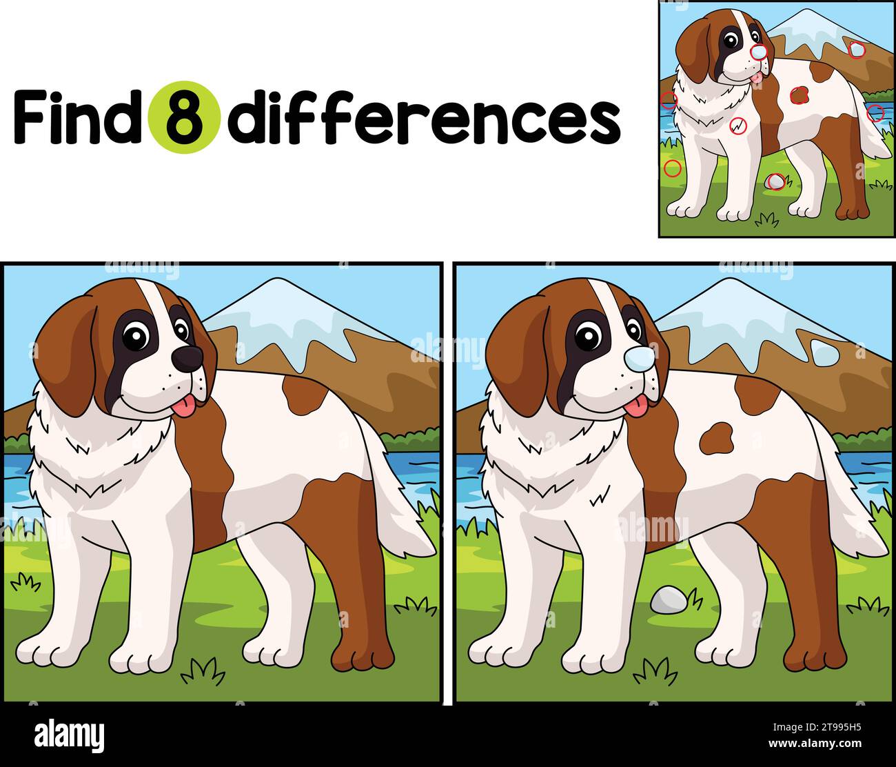Saint bernard dog puppy Cut Out Stock Images Pictures Alamy