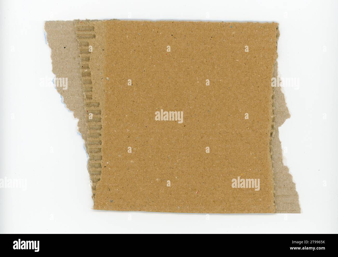 brown corrugated cardboard texture useful as a background Stock Photo