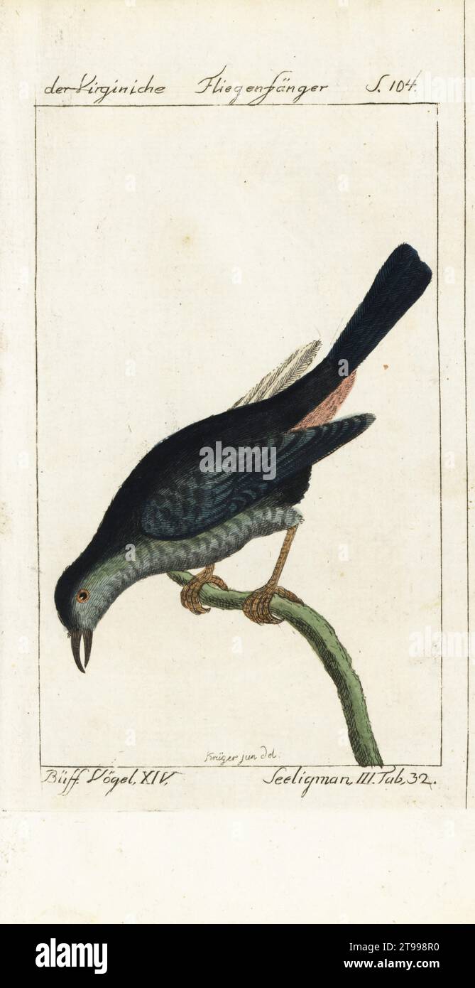 Johann seligman hires stock photography and images Alamy