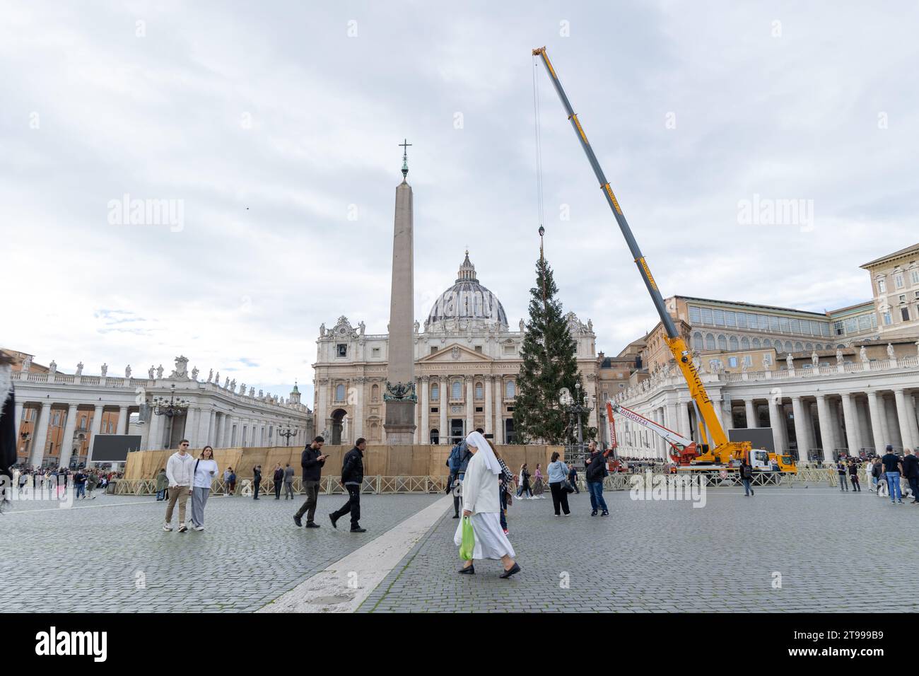 Rome, Italy. 23rd Nov, 2023. View of the installation of the Christmas tree in St. Peter's Square. The Christmas tree arrived in St. Peter's Square with 27 meters high, it weighs 6.5 tons and was donated by the municipality of Macra, in the woods of Cuneo. It will be decorated with lights and over 7,000 dried edelweiss which will give the effect of a snowfall. The lights will be turned on next December 9. (Photo by Matteo Nardone/Pacific Press) Credit: Pacific Press Media Production Corp./Alamy Live News Stock Photo