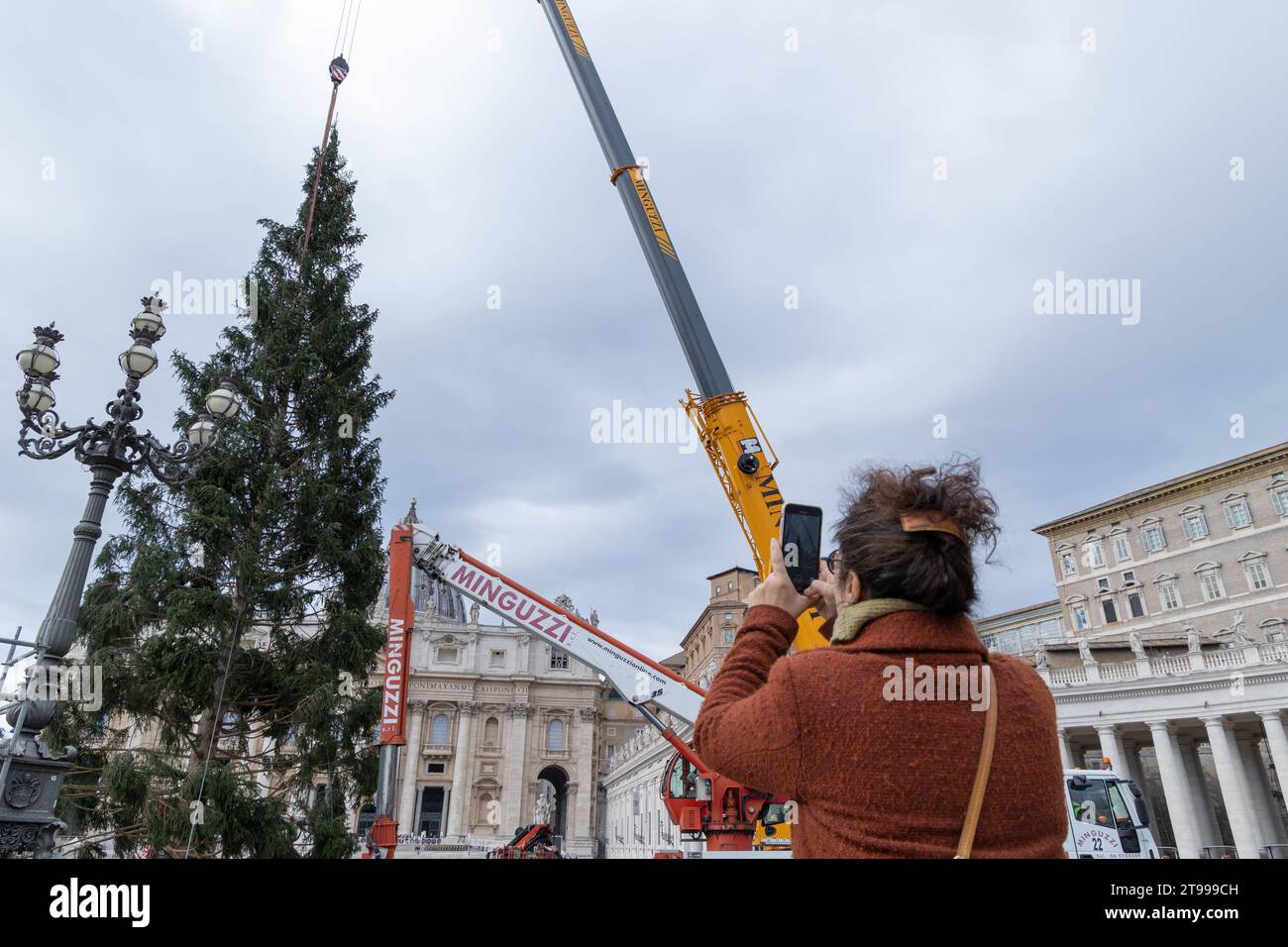 Rome, Italy. 23rd Nov, 2023. View of the installation of the Christmas tree in St. Peter's Square. The Christmas tree arrived in St. Peter's Square with 27 meters high, it weighs 6.5 tons and was donated by the municipality of Macra, in the woods of Cuneo. It will be decorated with lights and over 7,000 dried edelweiss which will give the effect of a snowfall. The lights will be turned on next December 9. (Photo by Matteo Nardone/Pacific Press) Credit: Pacific Press Media Production Corp./Alamy Live News Stock Photo