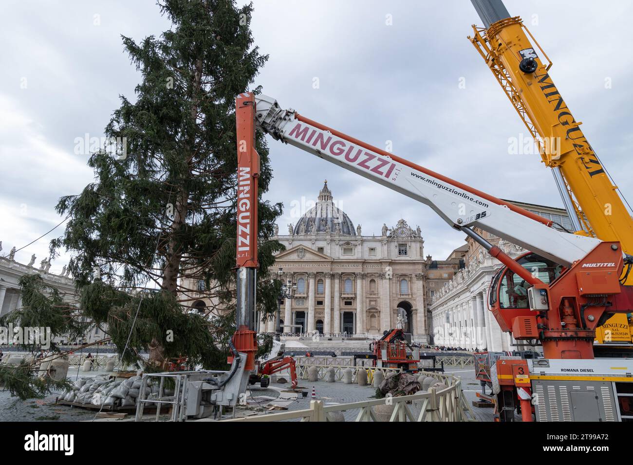 Rome, Italy. 23rd Nov, 2023. View of the installation of the Christmas tree in St. Peter's Square. The Christmas tree arrived in St. Peter's Square with 27 meters high, it weighs 6.5 tons and was donated by the municipality of Macra, in the woods of Cuneo. It will be decorated with lights and over 7,000 dried edelweiss which will give the effect of a snowfall. The lights will be turned on next December 9. (Credit Image: © Matteo Nardone/Pacific Press via ZUMA Press Wire) EDITORIAL USAGE ONLY! Not for Commercial USAGE! Stock Photo