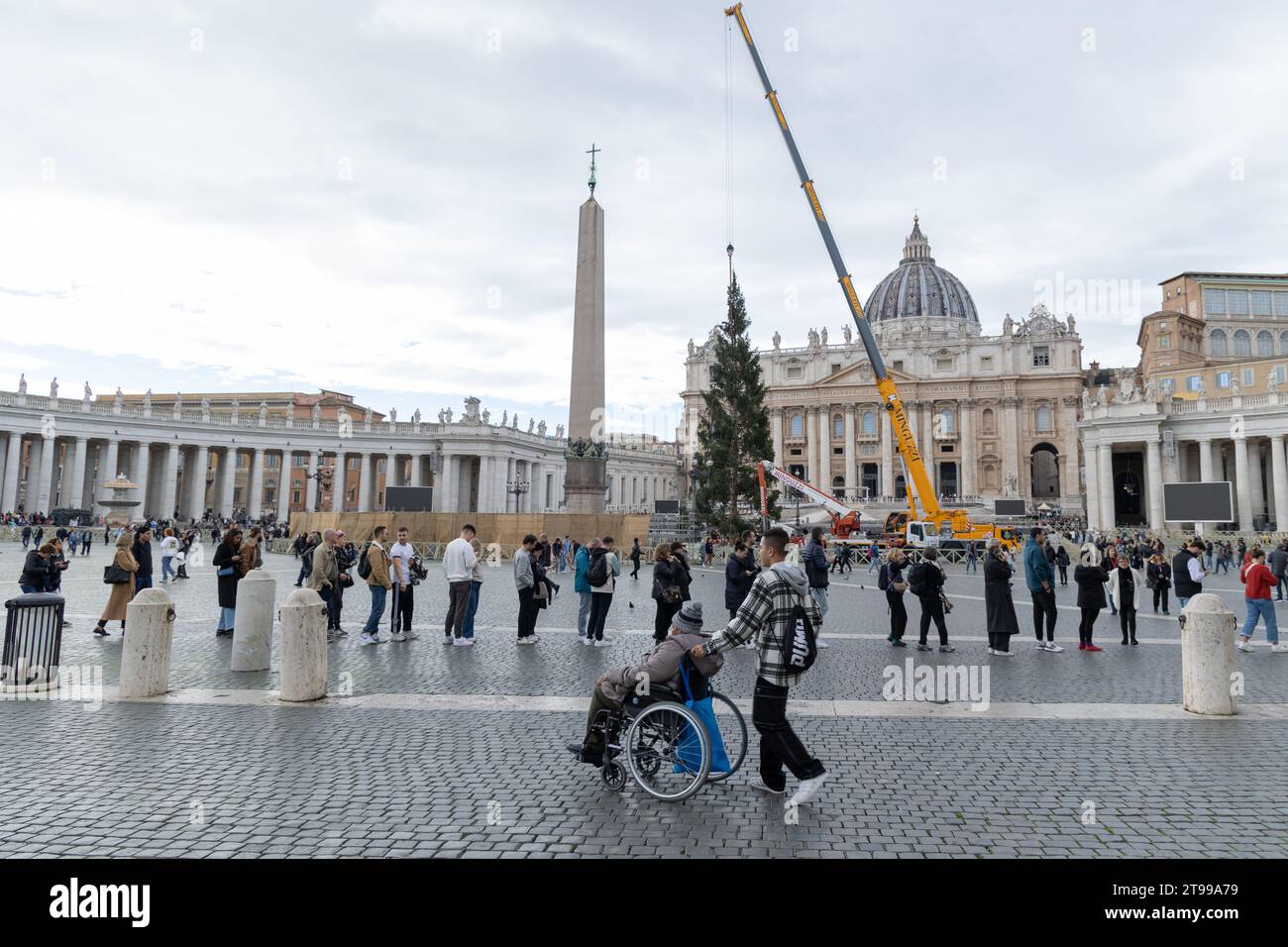Rome, Italy. 23rd Nov, 2023. View of the installation of the Christmas tree in St. Peter's Square. The Christmas tree arrived in St. Peter's Square with 27 meters high, it weighs 6.5 tons and was donated by the municipality of Macra, in the woods of Cuneo. It will be decorated with lights and over 7,000 dried edelweiss which will give the effect of a snowfall. The lights will be turned on next December 9. (Credit Image: © Matteo Nardone/Pacific Press via ZUMA Press Wire) EDITORIAL USAGE ONLY! Not for Commercial USAGE! Stock Photo