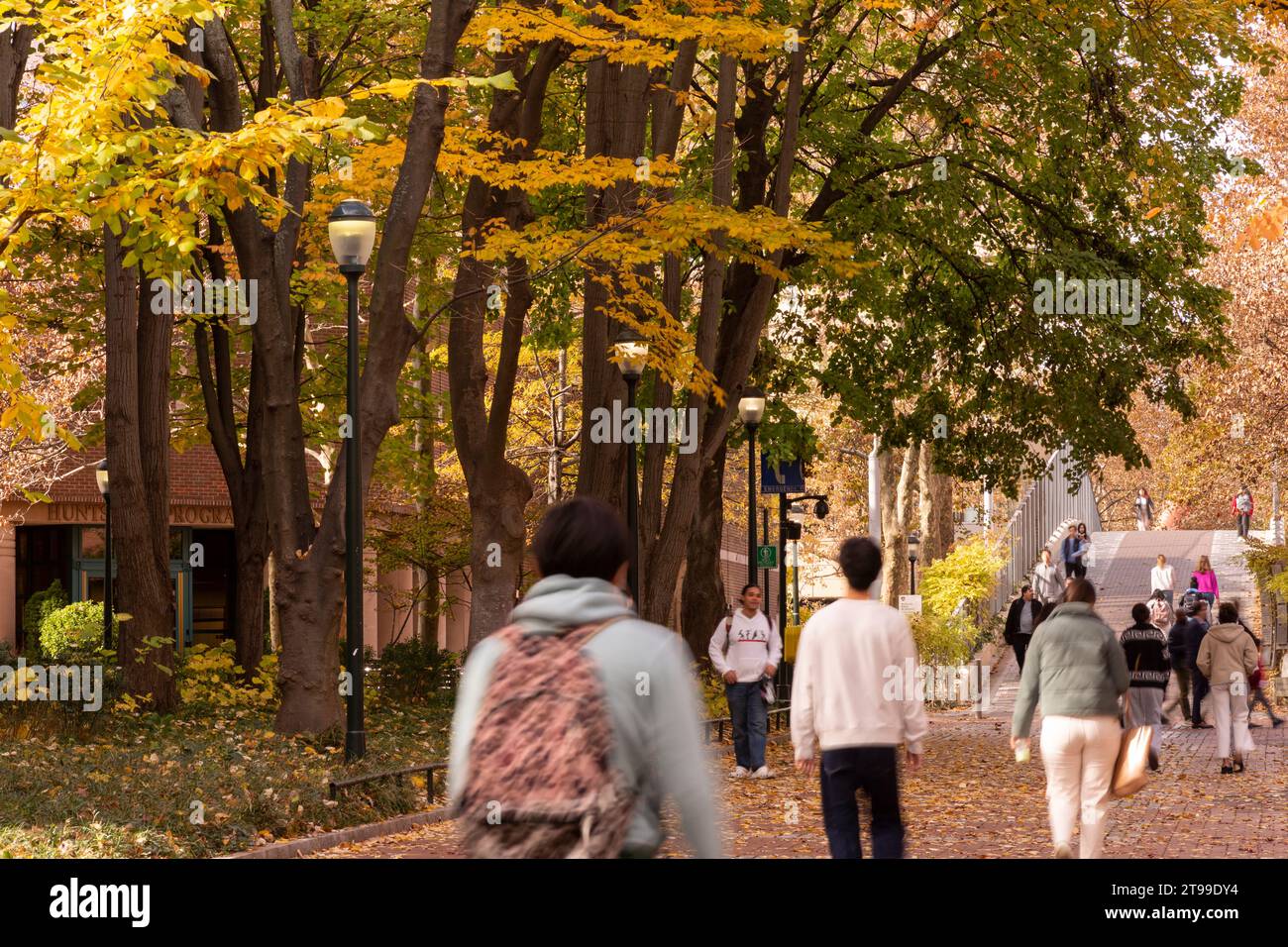 Locust Walk with students in fall, University of Pennsylvania, University City area, Philadelphia, PA, USA Stock Photo