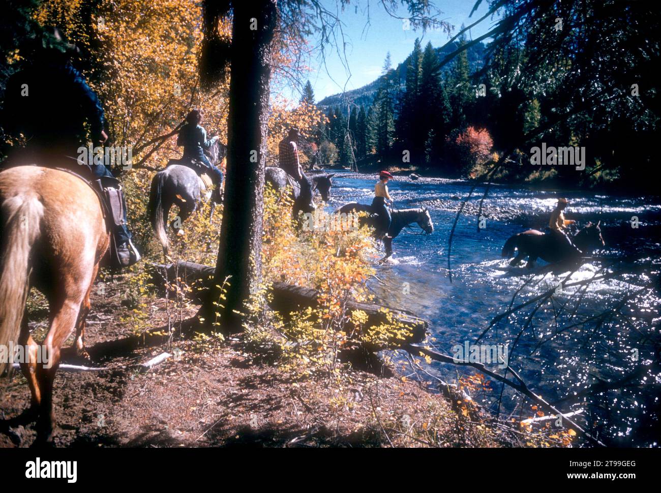 LA GRANDE, OR - OCTOBER, 1959: General view of riders on horseback ...