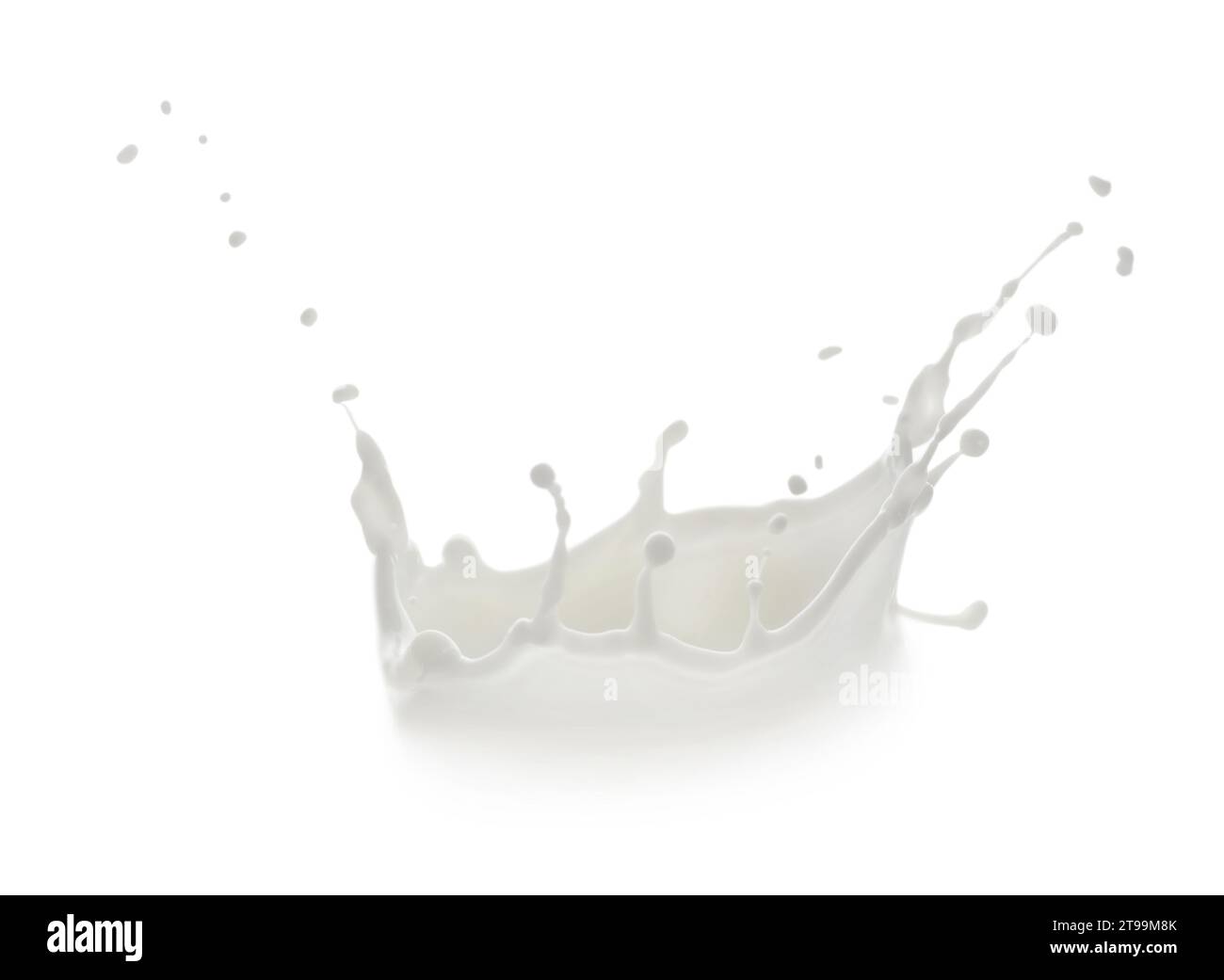 Splash of fresh milk on white background Stock Photo - Alamy
