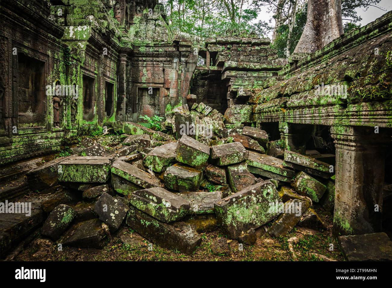 Ancient ruins of Ta Prohm temple, Angkor, Cambodia Stock Photo