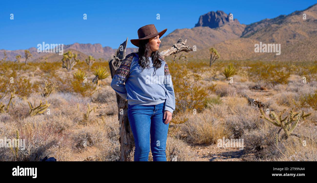 Native american sky woman hi-res stock photography and images - Alamy