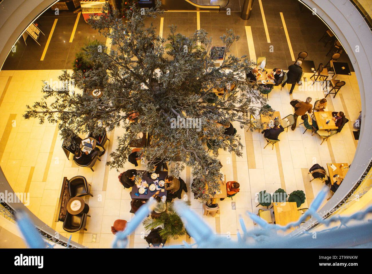 Madrid, Spain. 1 May 2023 Many people sitting eating in food court, cafe, restaurant in shopping mall view from above. Round stairwell. A big tree in Stock Photo
