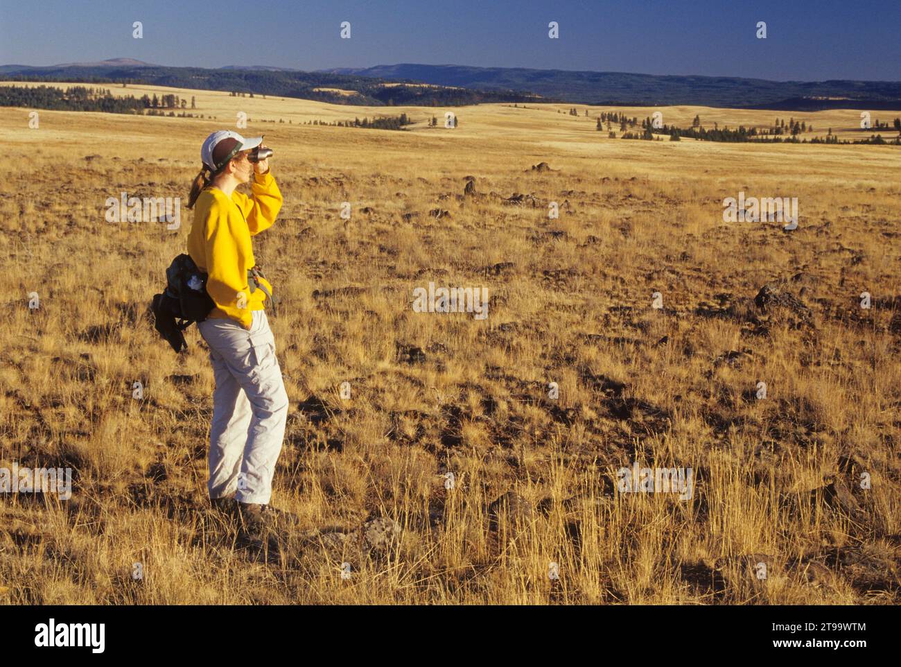 Grassland, Bridge Creek Wildlife Area, Blue Mountain National Scenic Byway, Oregon Stock Photo