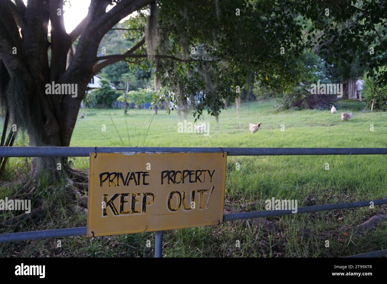 Rural scene with private property keep out sign on fence gate with chickens and roosters (Gallus gallus domesticus) in background Stock Photo