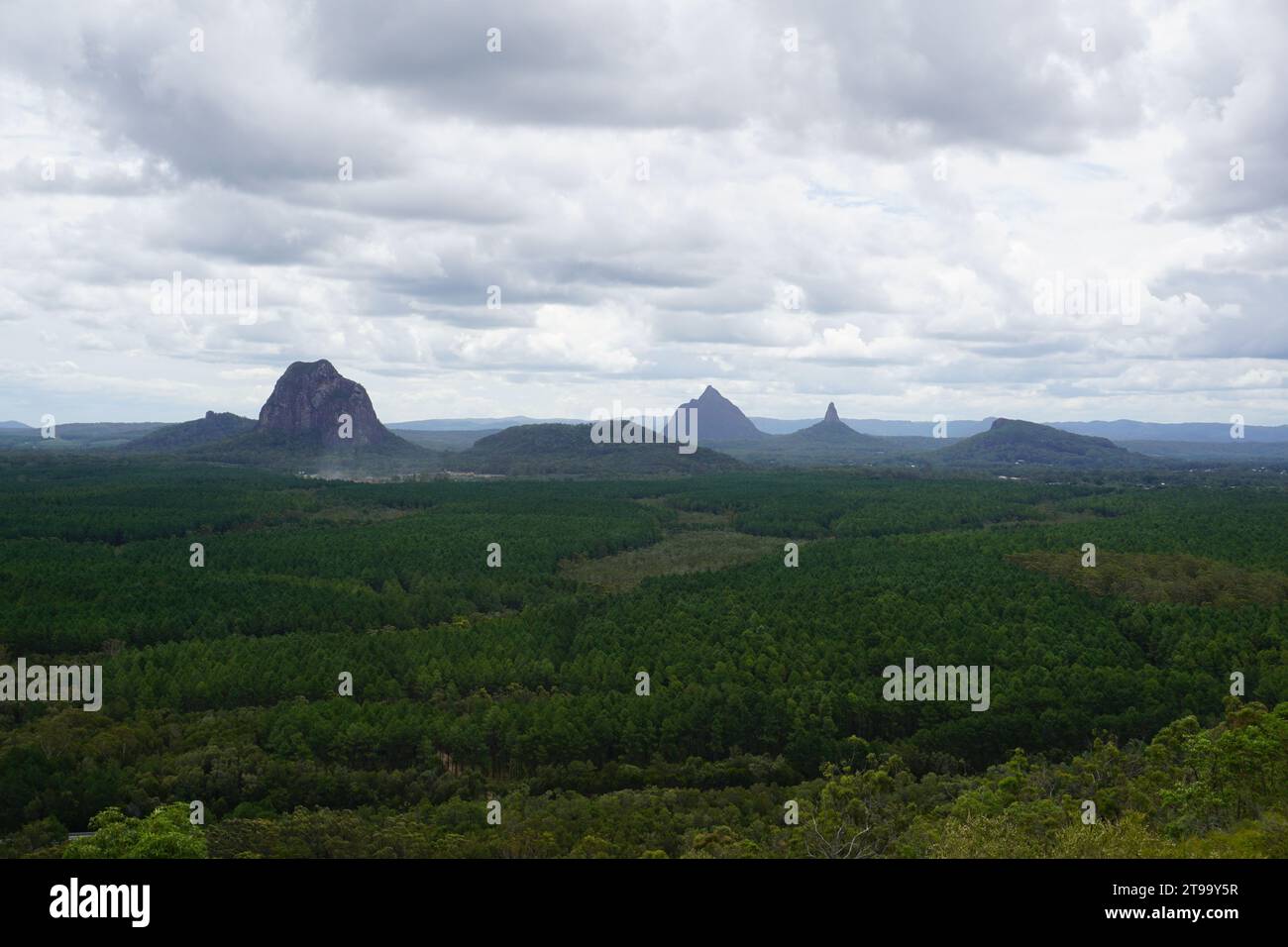 Scenic landscape view of Mt Beerwah and Mt Ngungun etc. from Wild Horse