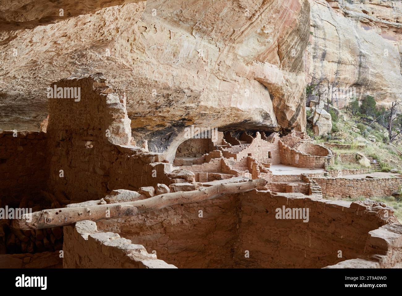The incredible Long House cliff dwelling at Mesa Verde National Park ...