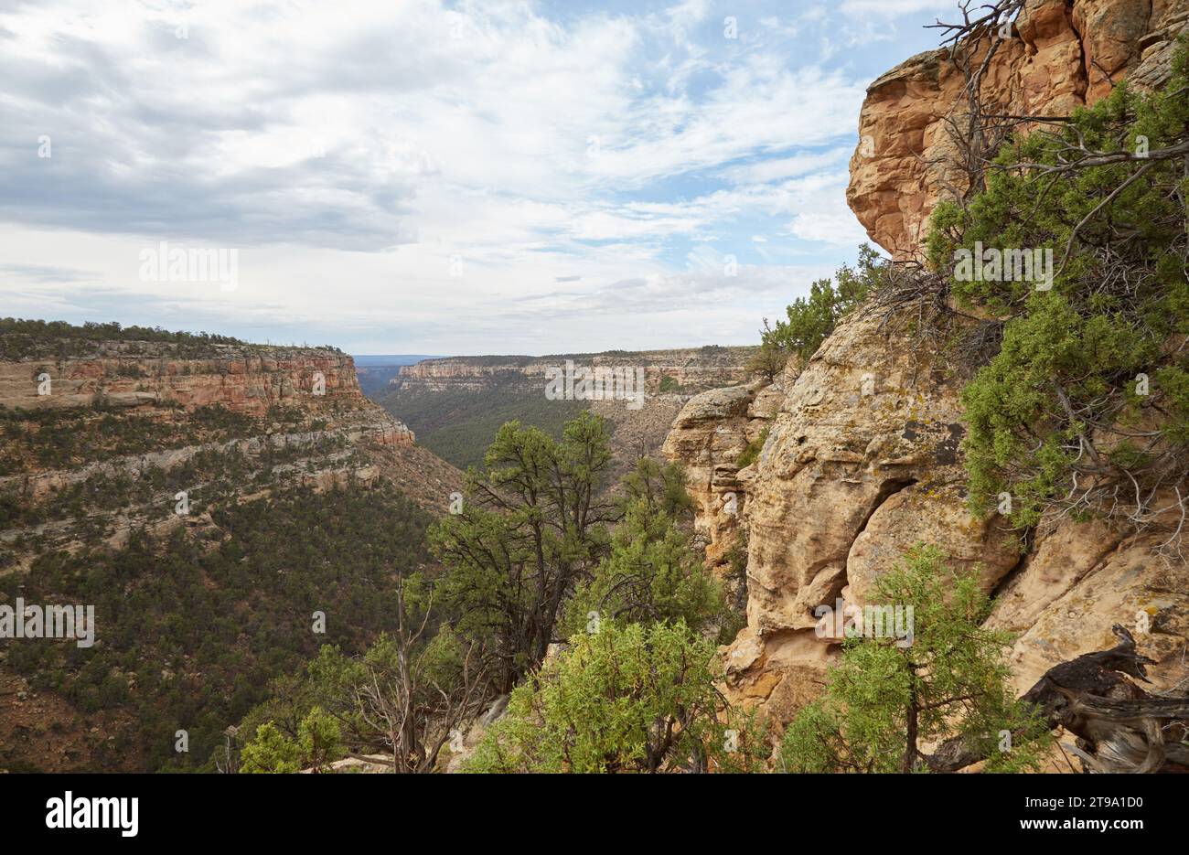 The incredible Long House cliff dwelling at Mesa Verde National Park ...