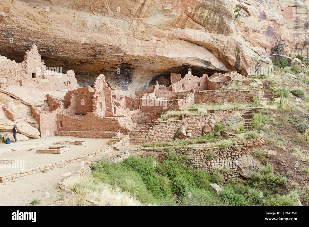 The incredible Long House cliff dwelling at Mesa Verde National Park ...