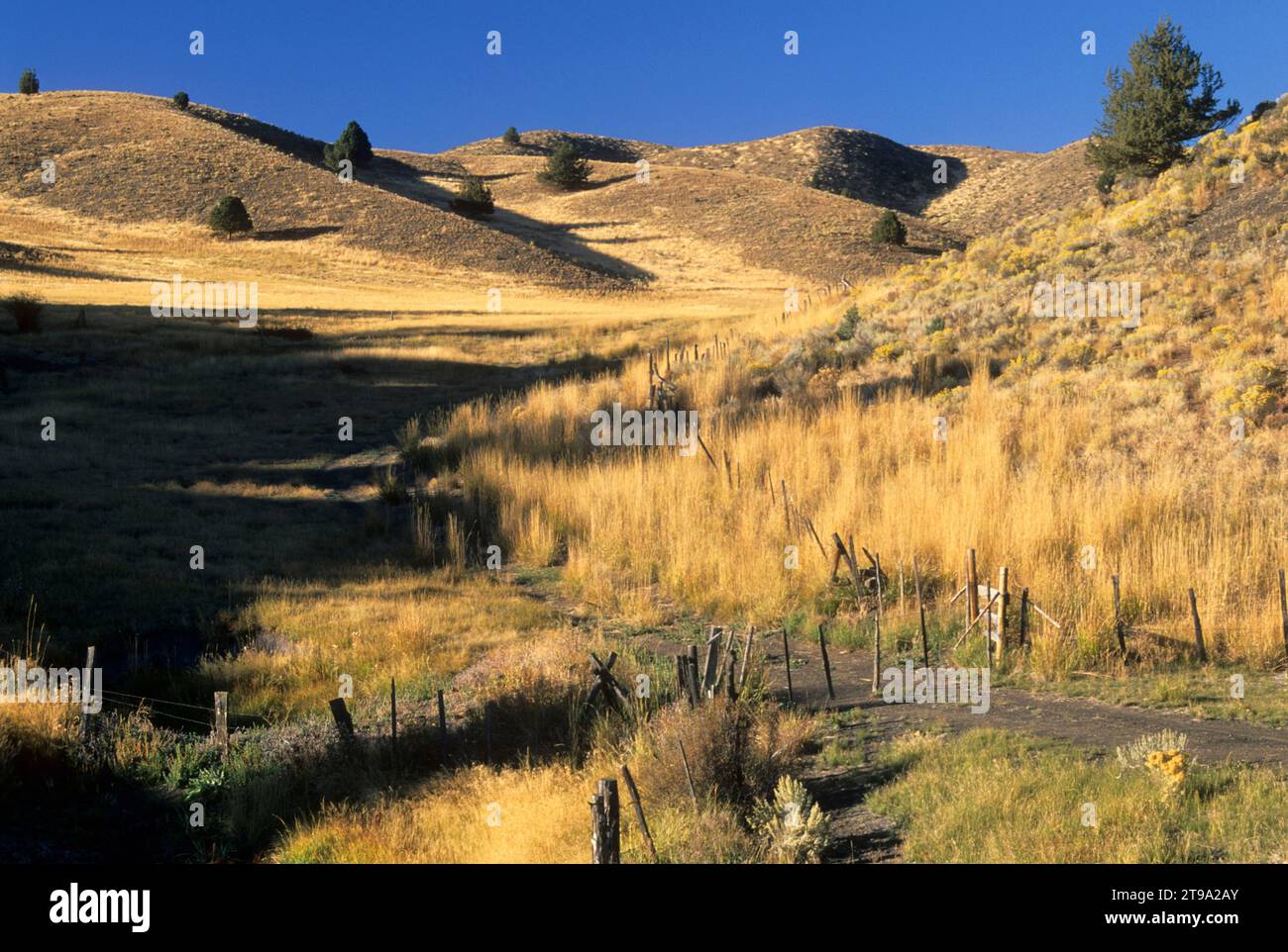 Rangeland fence hi-res stock photography and images - Alamy