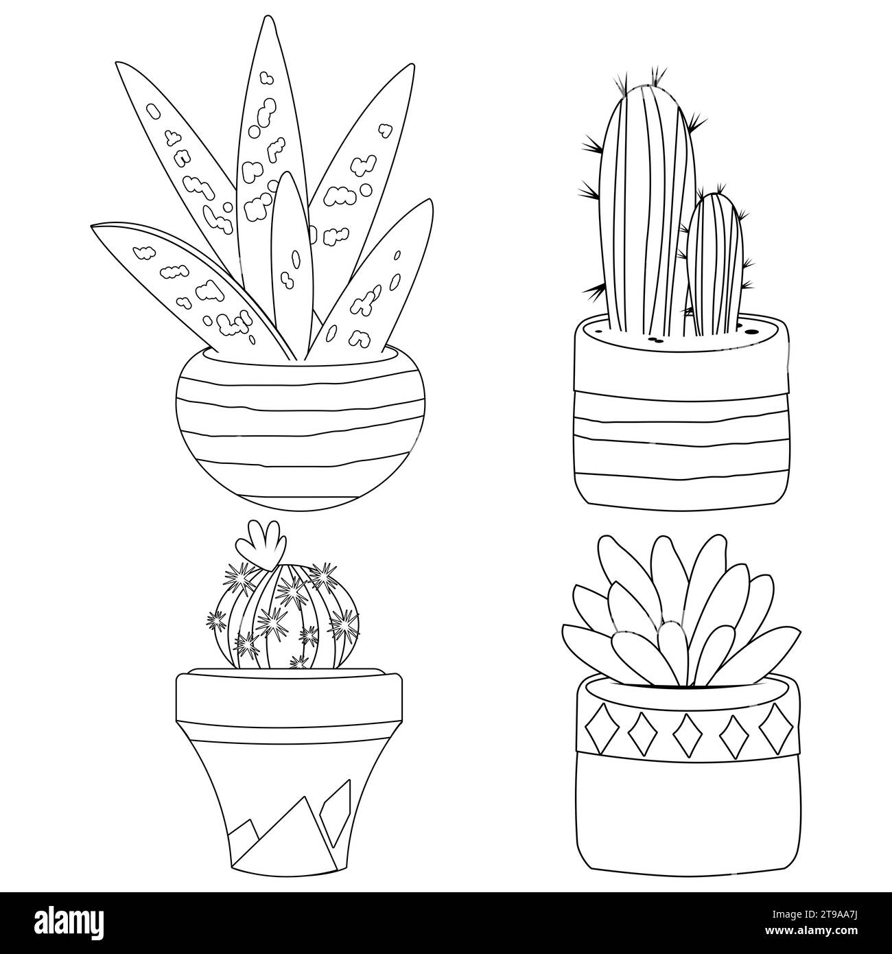Cactus and succulent plants in pots. Black and white coloring page Stock Photo