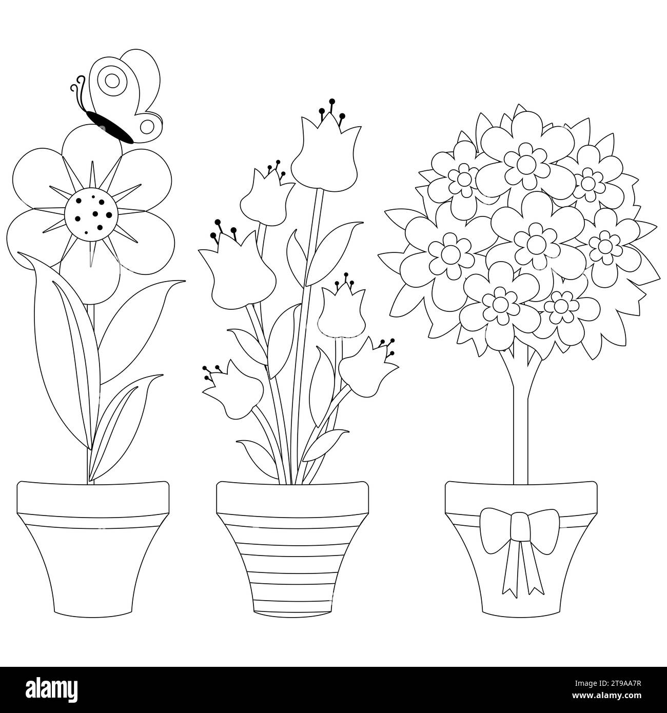 Set of flowers in flowerpots Blossoming - Set Of Flowers In Flowerpots Blossoming Plants In Pots Black And White Coloring Page 2T9AA7R 