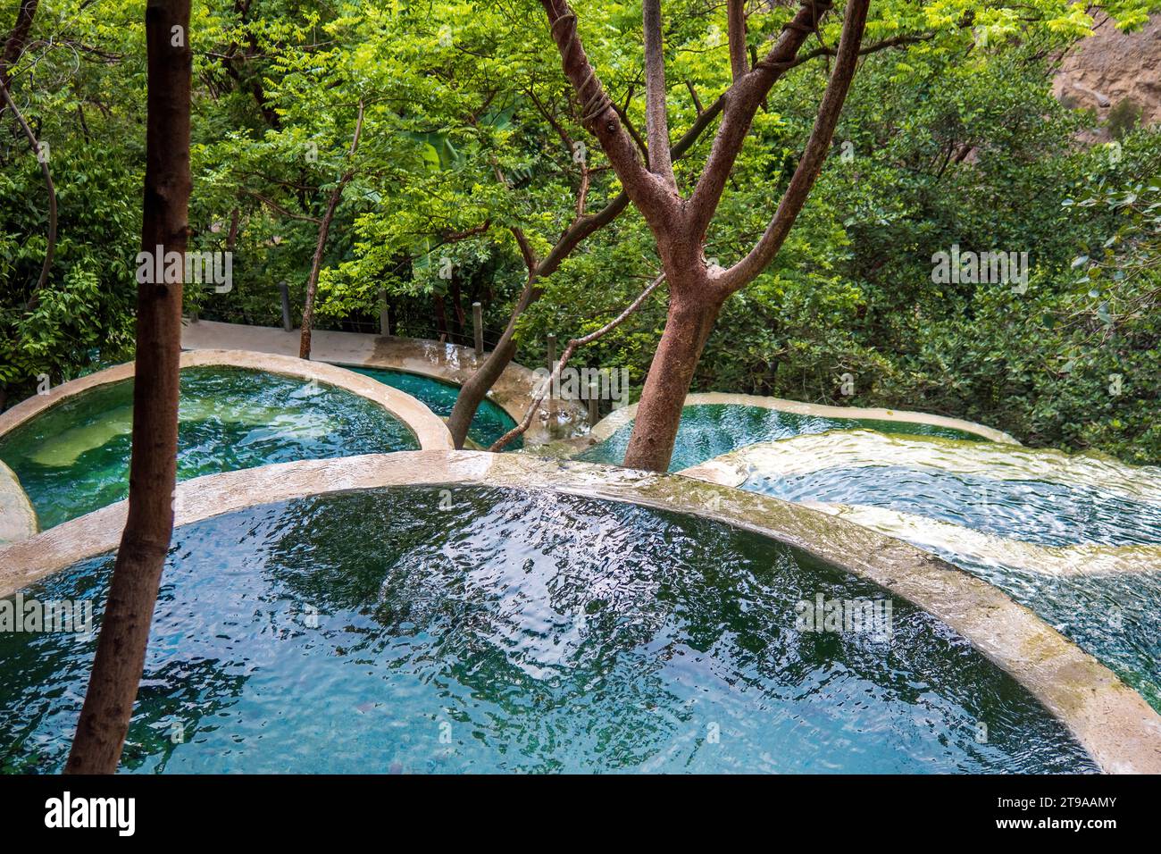 Explore serene beauty of Tolantongo Grutas. Lush forests, tranquil 