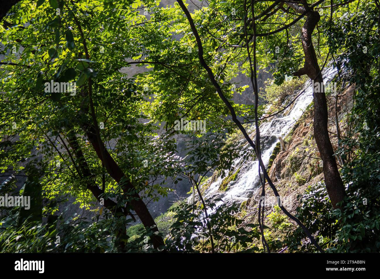 Delve into an array of ecoregion, from tranquil stream to dense forest ...