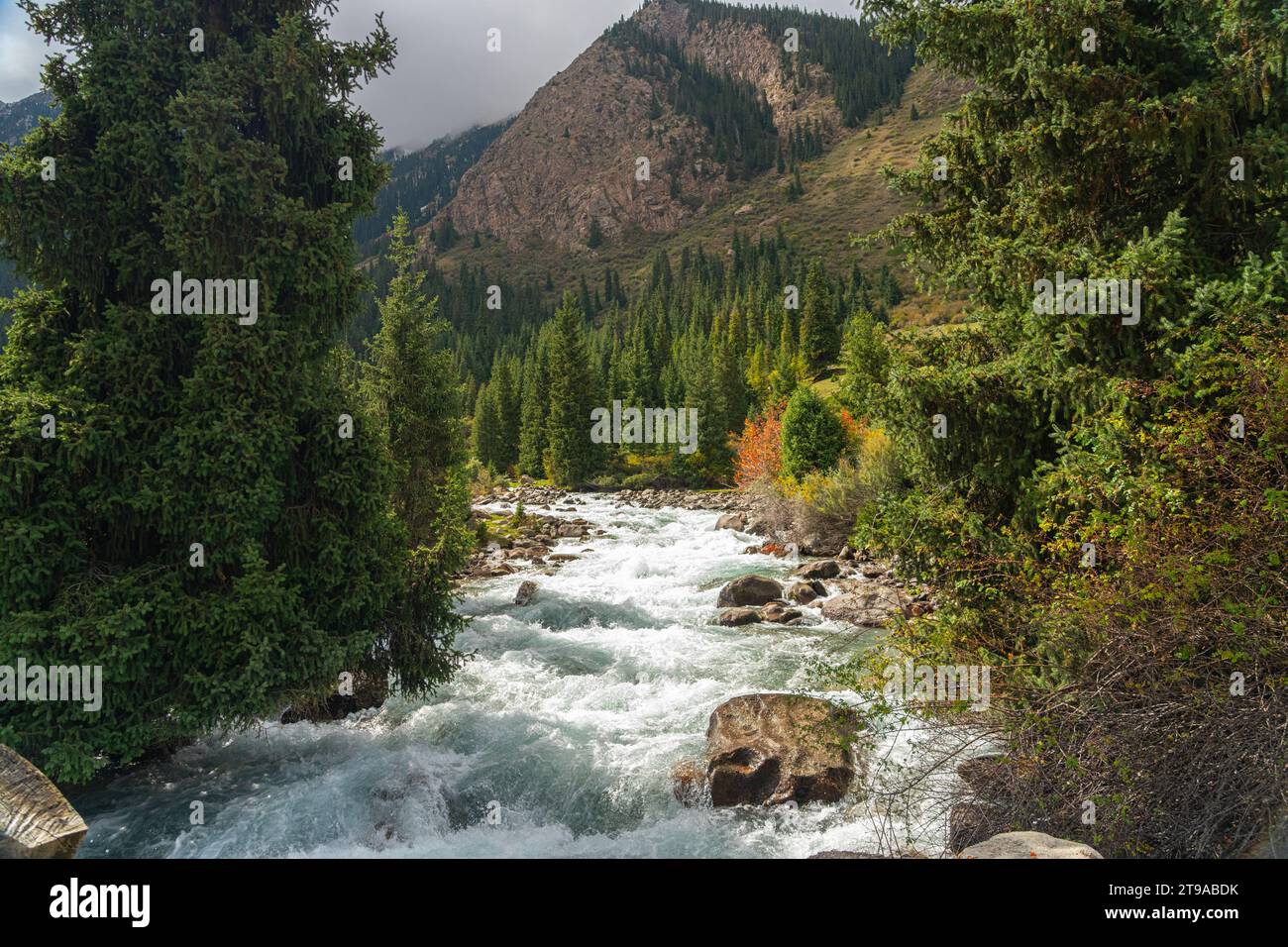 Gushing stream flowing in a valley in a mountain range in Kyrgyzstan, Stock Photo
