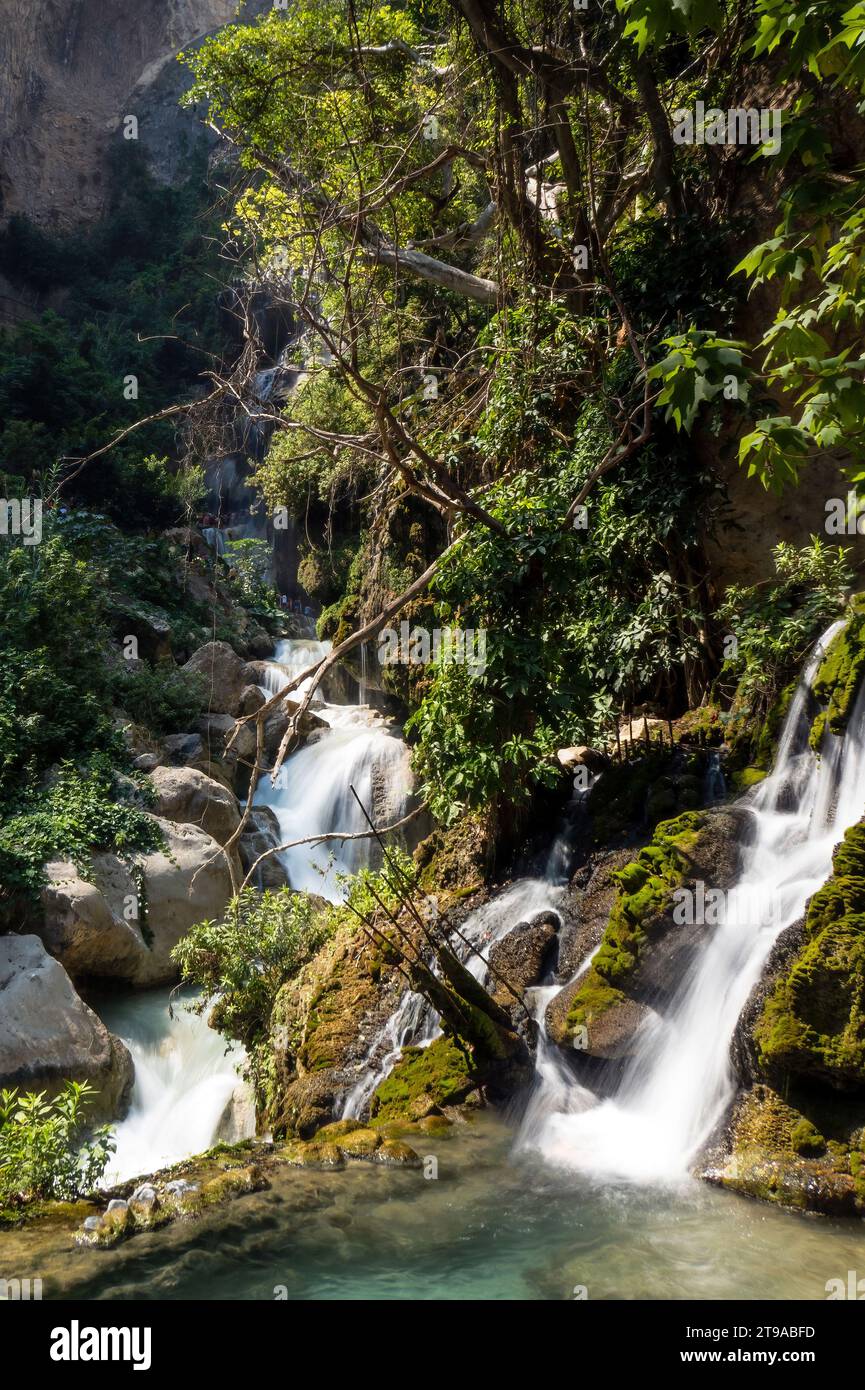 Explore diverse landscapes - from mountain rivers to lush forests 