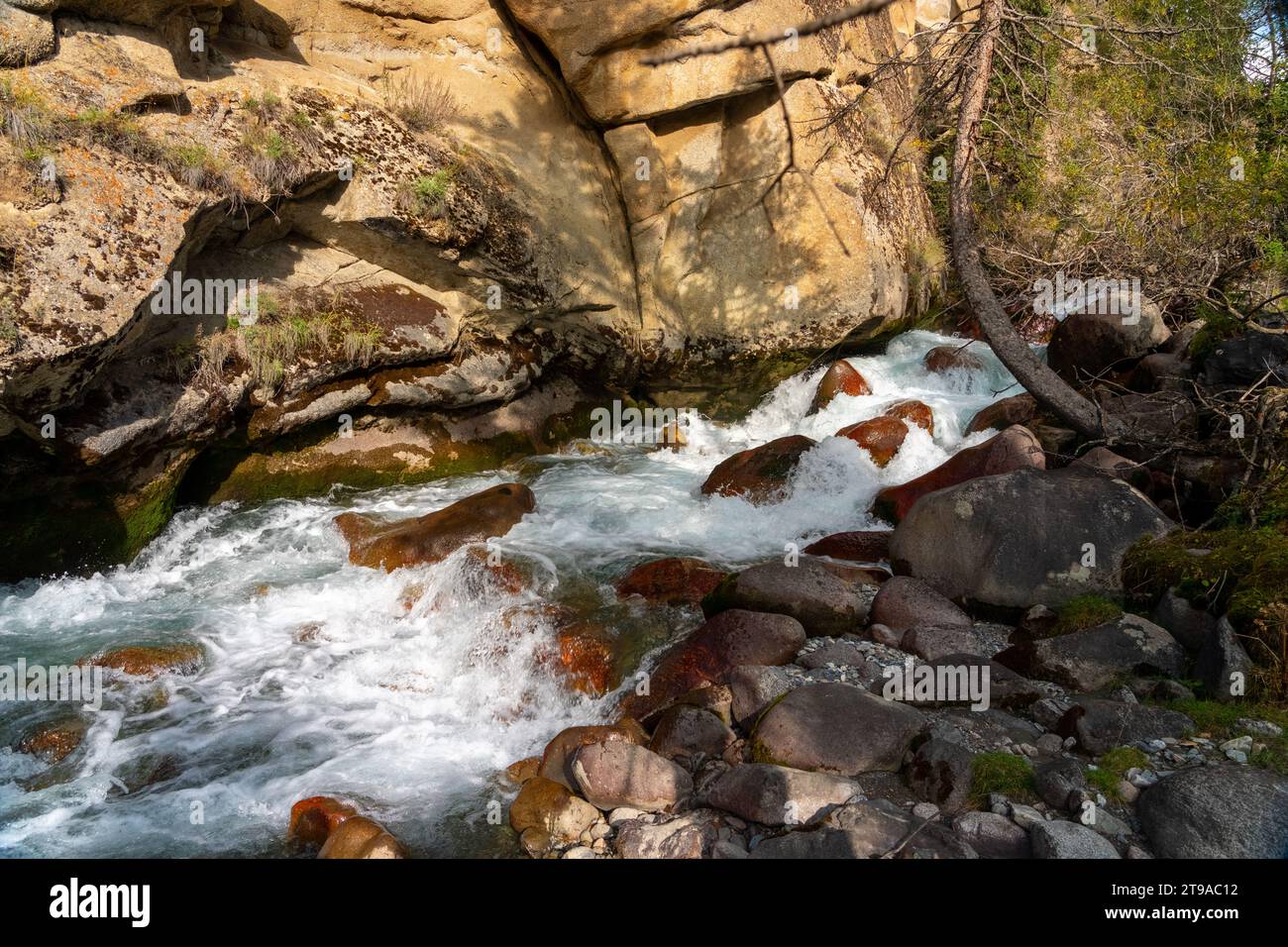 Gushing stream flowing in a valley in a mountain range in Kyrgyzstan, Stock Photo