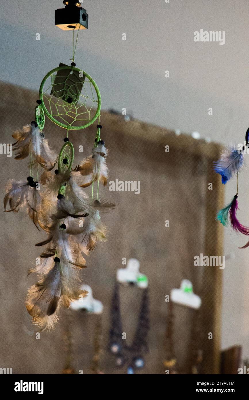 Collection of colorful bird feather for decoration Stock Photo