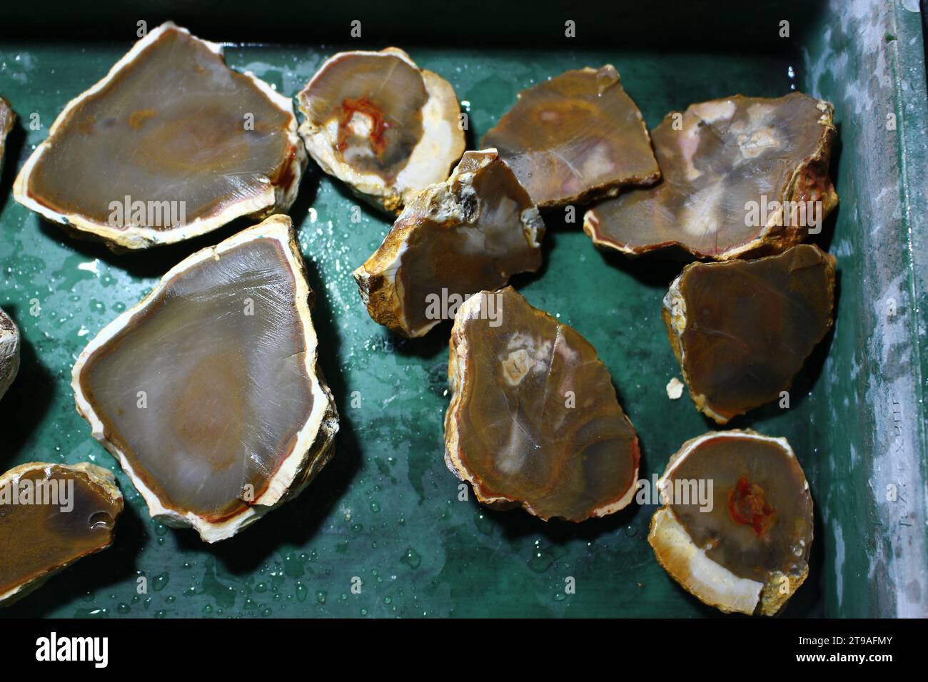 Patterned flint concretions sawn in half for processing Stock Photo Alamy