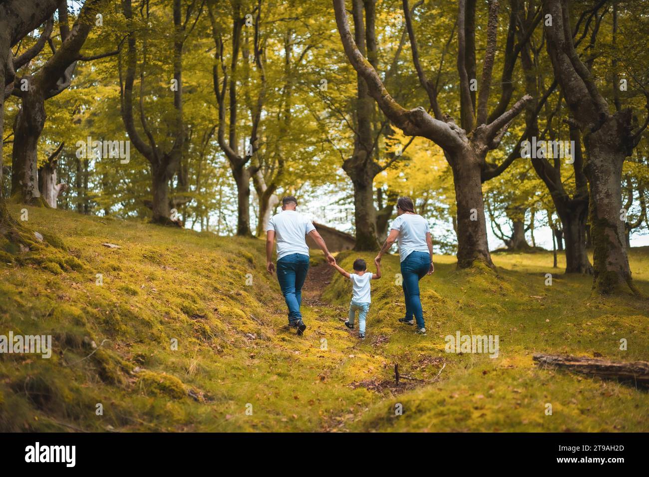 Horizontal photo of the rear view of a happy family walking along a ...