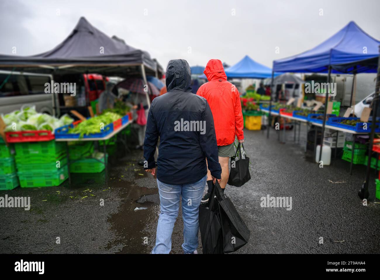 Couple shopping at the vegetable market in the rain. Stock Photo
